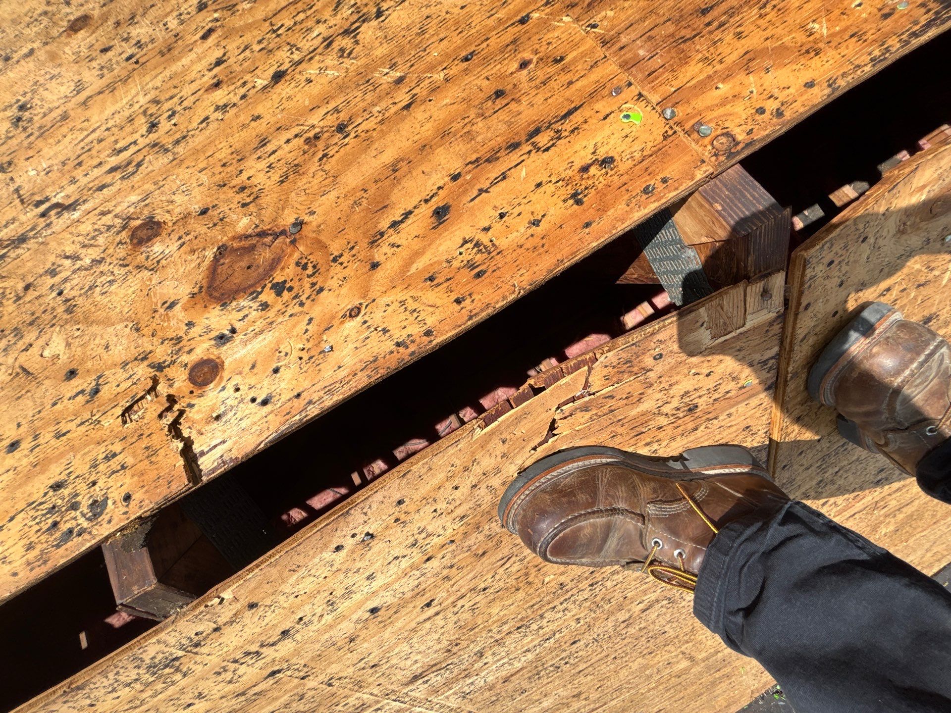 Certainteed Landmark Pro by Fahey Roofing + Contracting