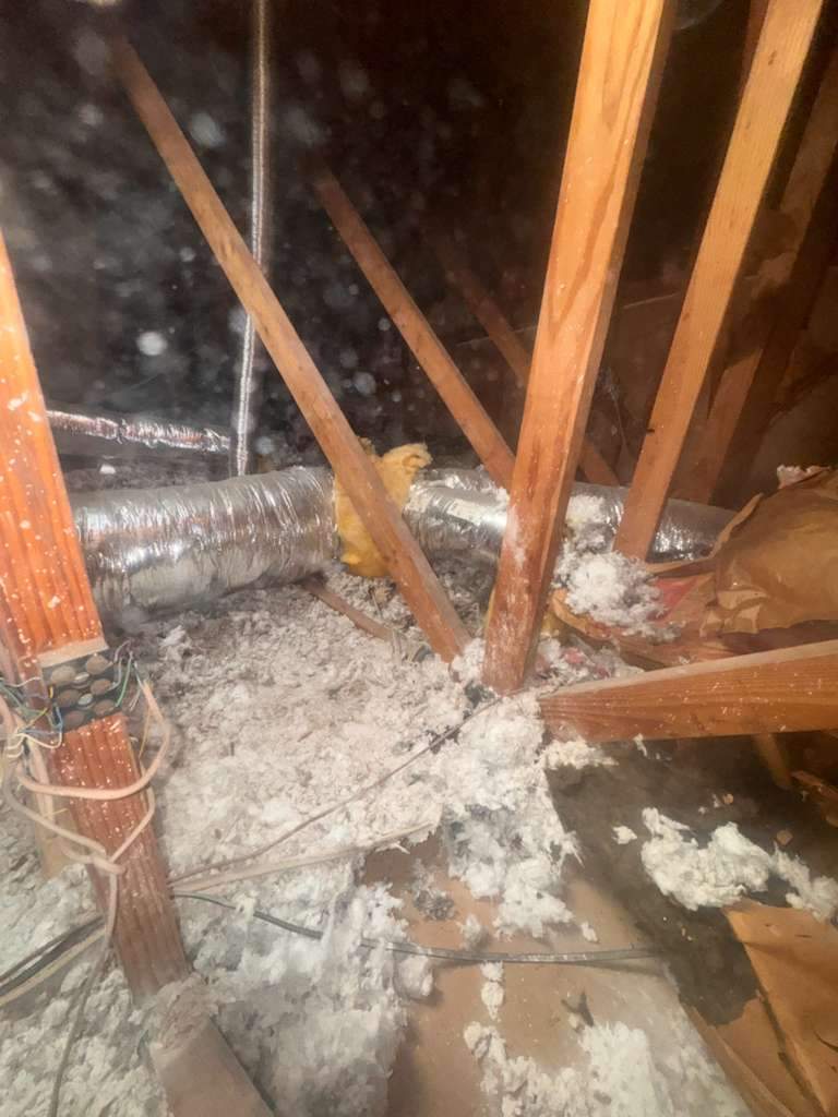 Project in Newport Beach by Advanced Attic Solutions