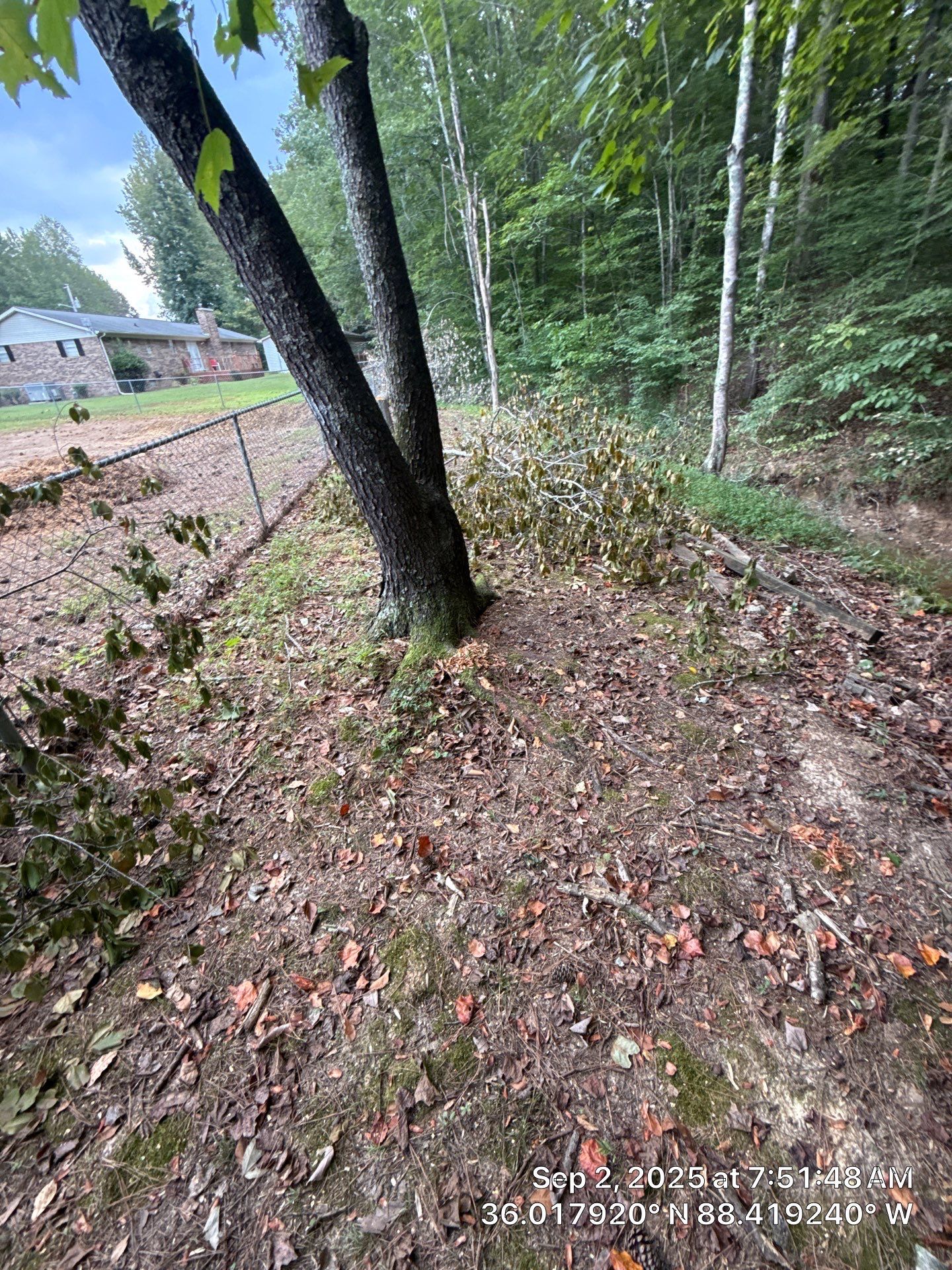 Front Entry Enhancements and a Back Deck Upgrade by Elite Proscapes LLC