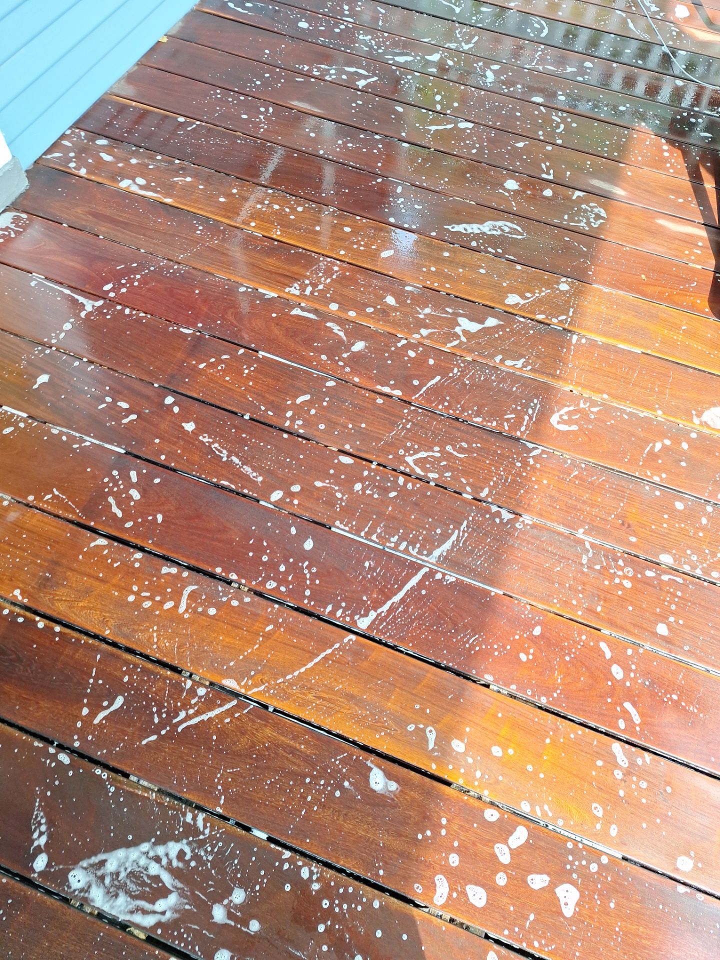 Exterior House Painting in Arlington, VA by My Painter 