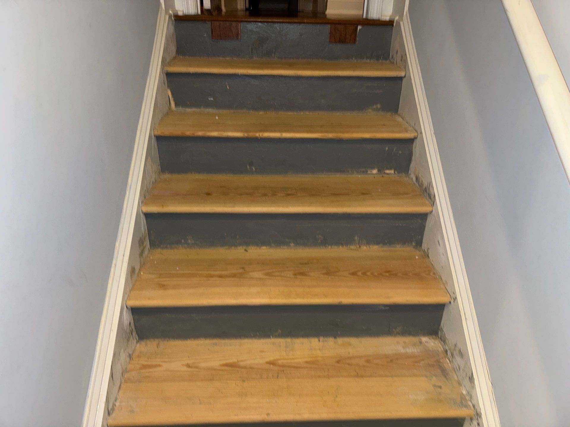 Stairway Installation using t vinyl stair tread and reversibleriser by La Bendicion Contruction Llc