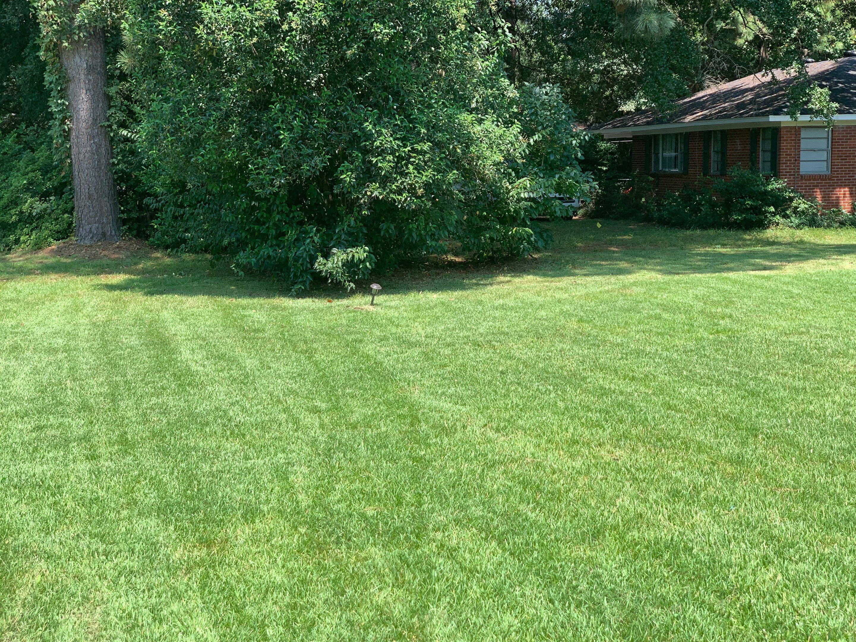 Yard Makeover by College Bros Outdoor services