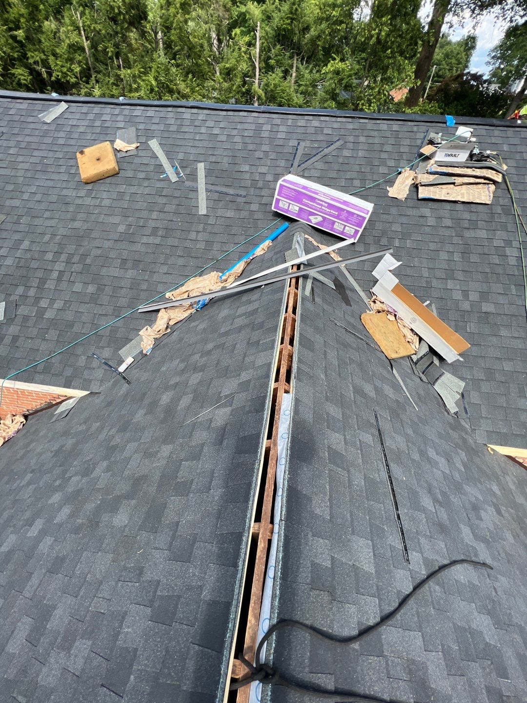 Alexandria Roof Project - CertainTeed Landmark Pro Max Def Charcoal Black Shingles by RM Banning, Inc.