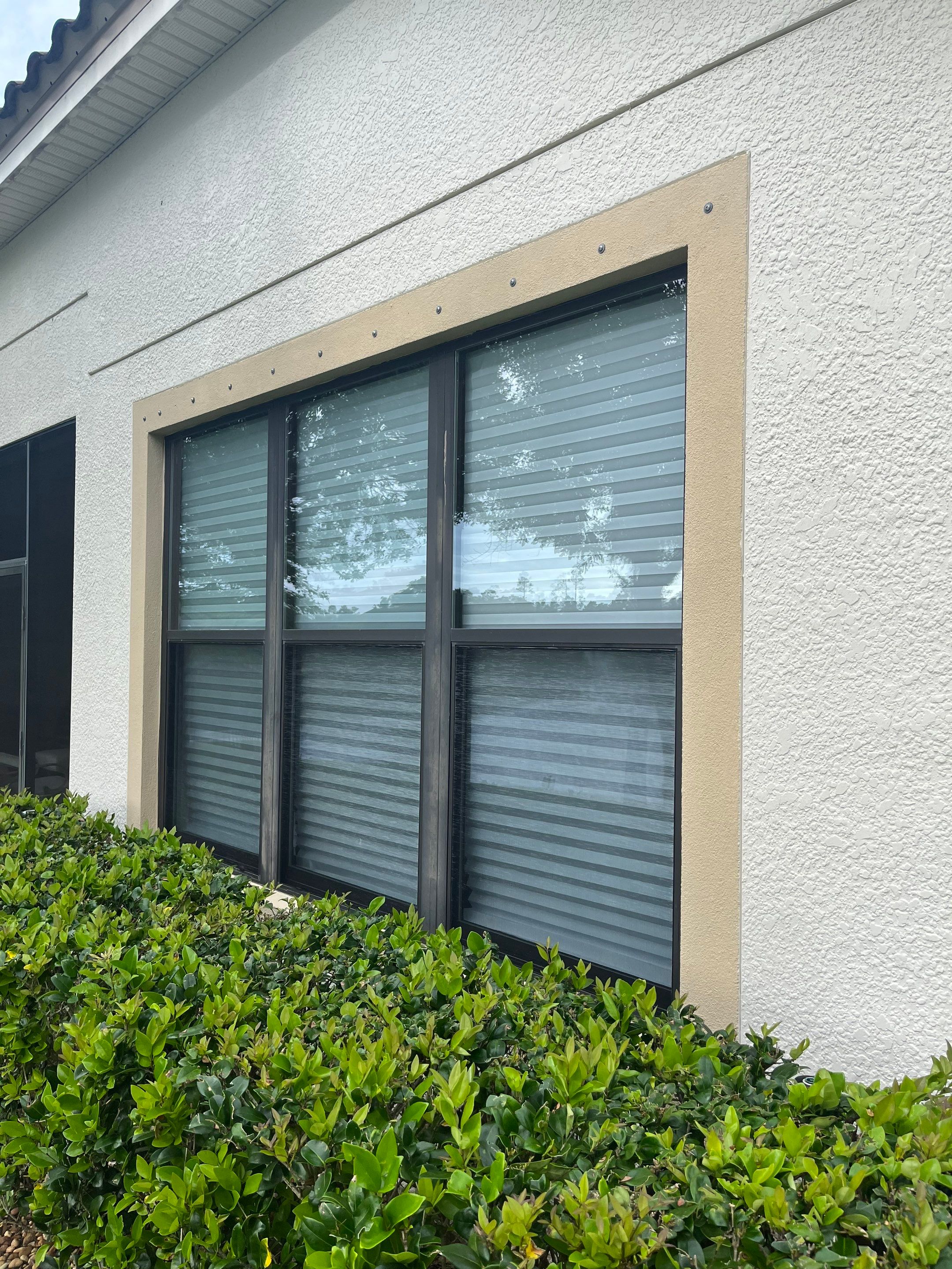 Bronze Single Hungs & PW's by NewSouth Window Jacksonville