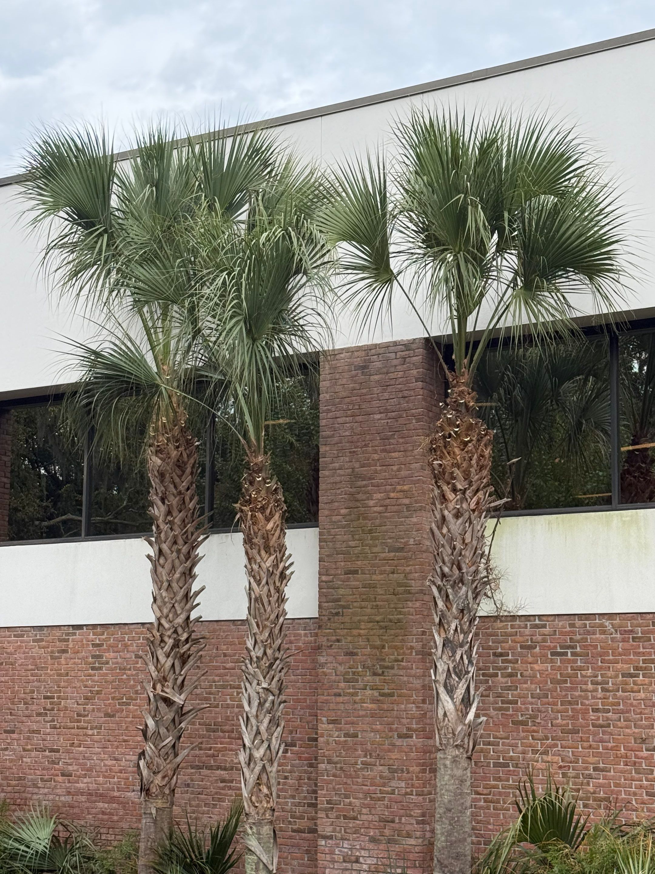 Volunteer Work | Episcopal High School of Jacksonville by ProGreen Services