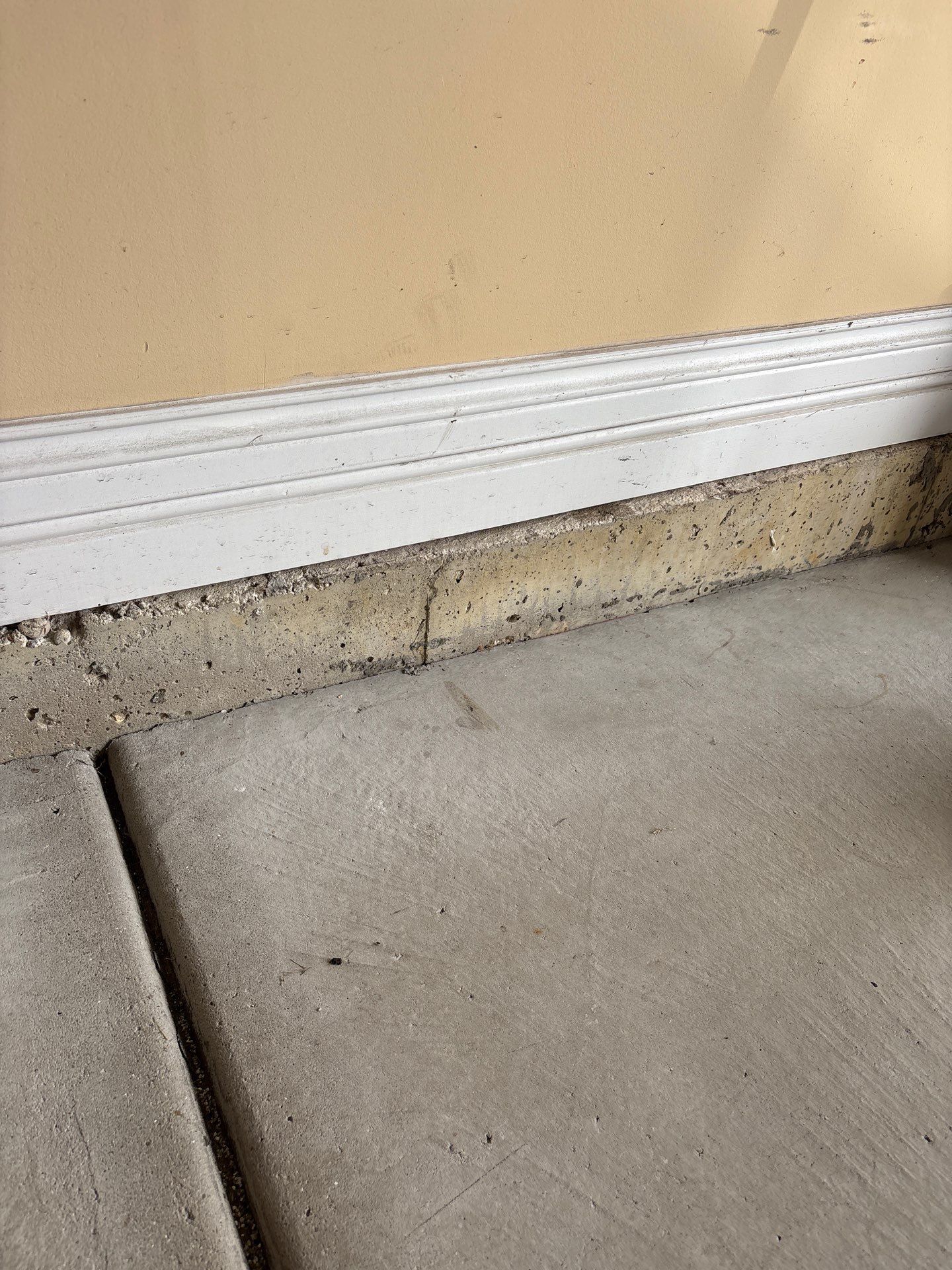 Bob Hoffman Residence by Torq Coatings