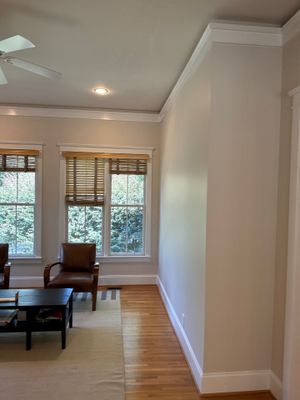Interior Walls and ceiling painting