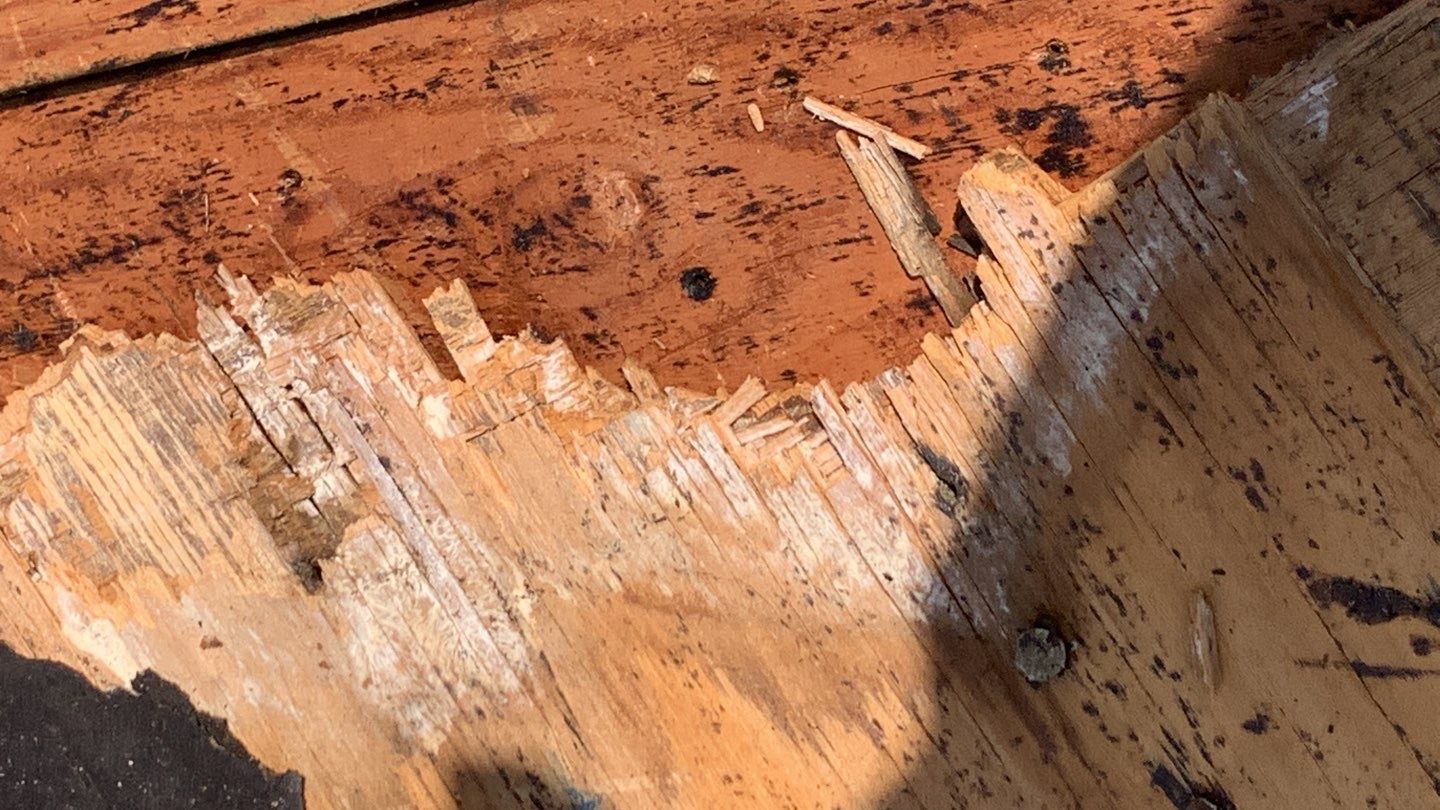 Hail Damage using Atlas Pristine Pinnacle Shingles by Artigues Roofing & Restoration Services