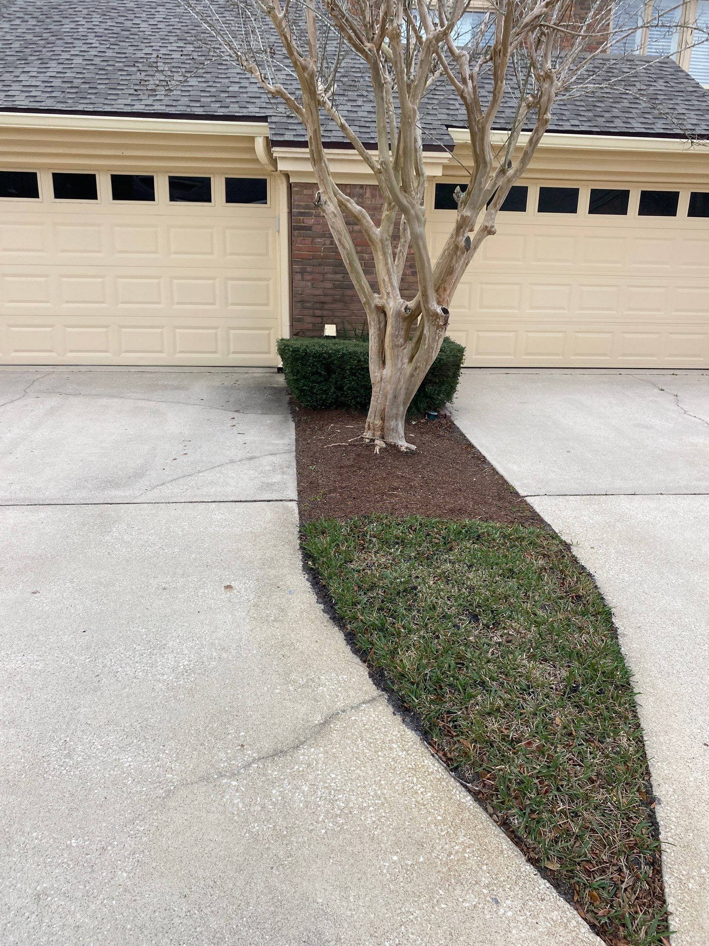 Deerwood Pointe | Tree Removal & Pine Straw Installation by ProGreen Services