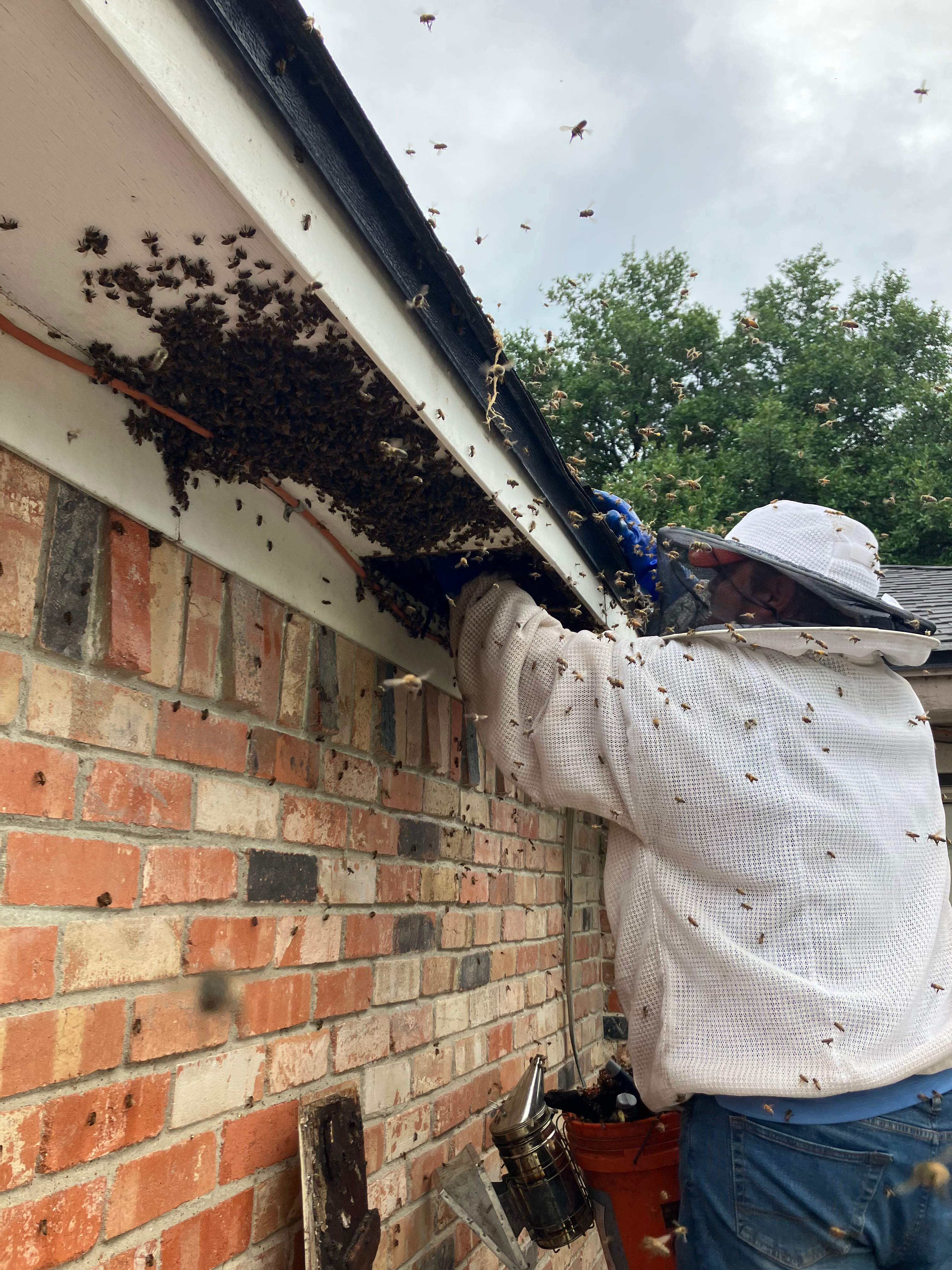 Improper Repair by Rockwall Honey Bee Company