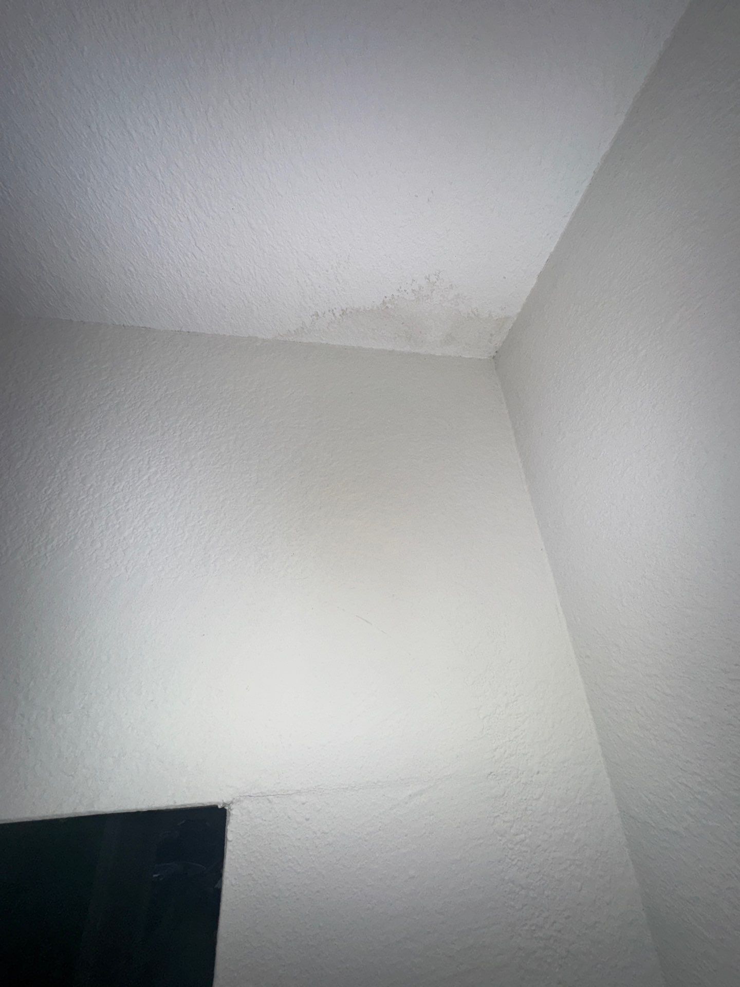Water Damage Claim in Tampa by FLAPA & KeyStone
