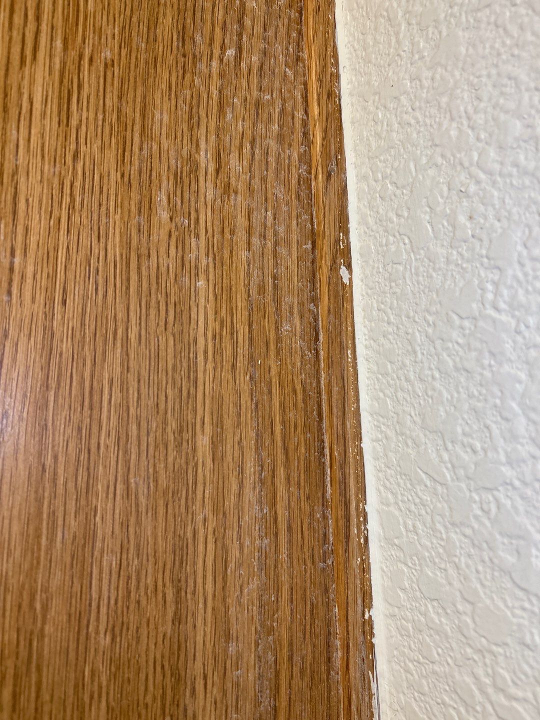 Water Damage by Accountable Home Services