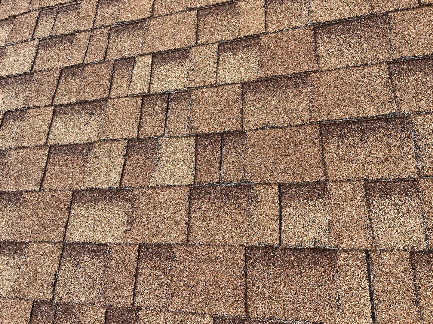Jenna's Re-Roof and Ridge Vents by All Storm Roofing & Construction