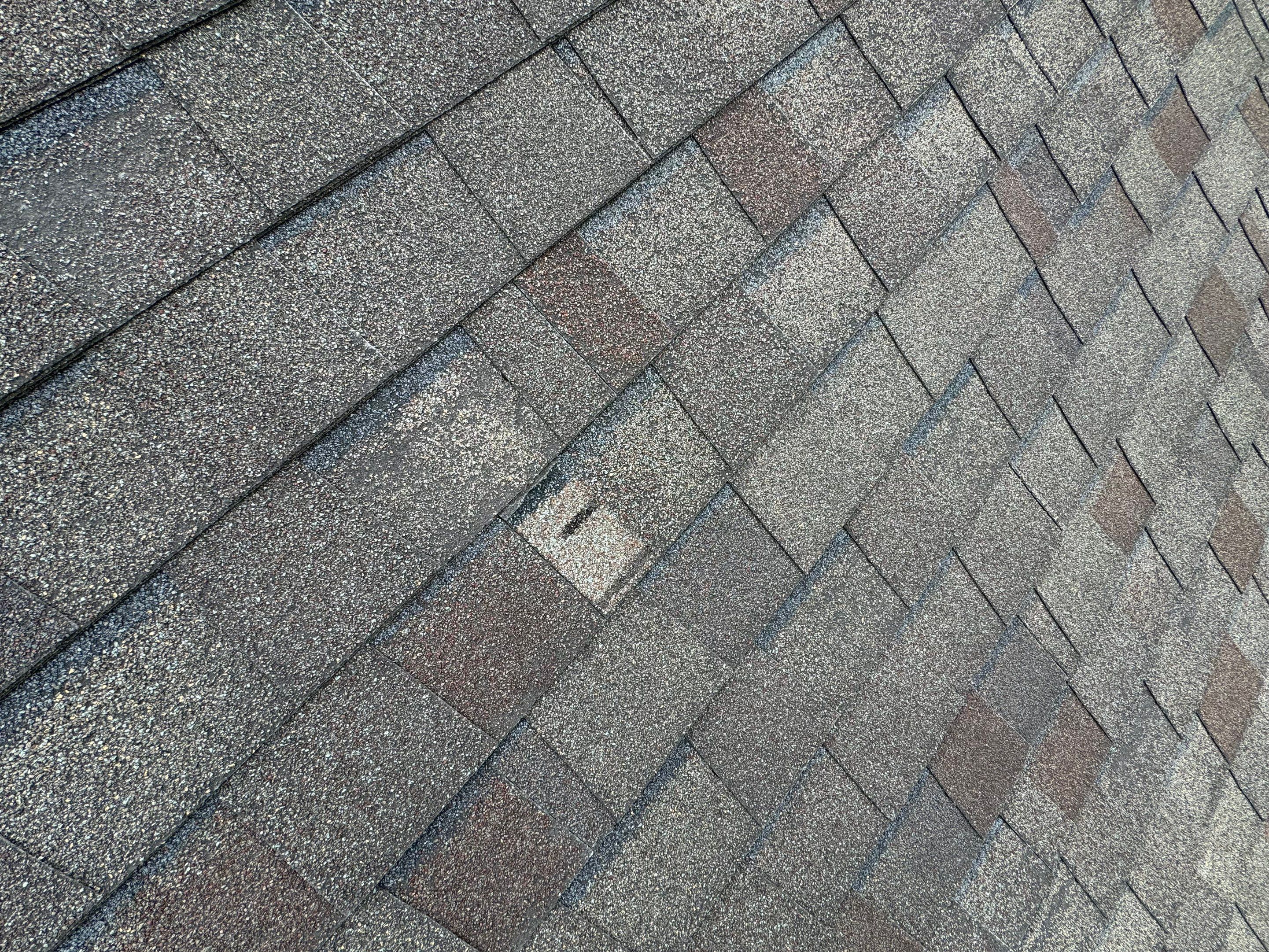 Roof Replacement by Homestyle in Wellington by Homestyle Home Improvements (HHI)