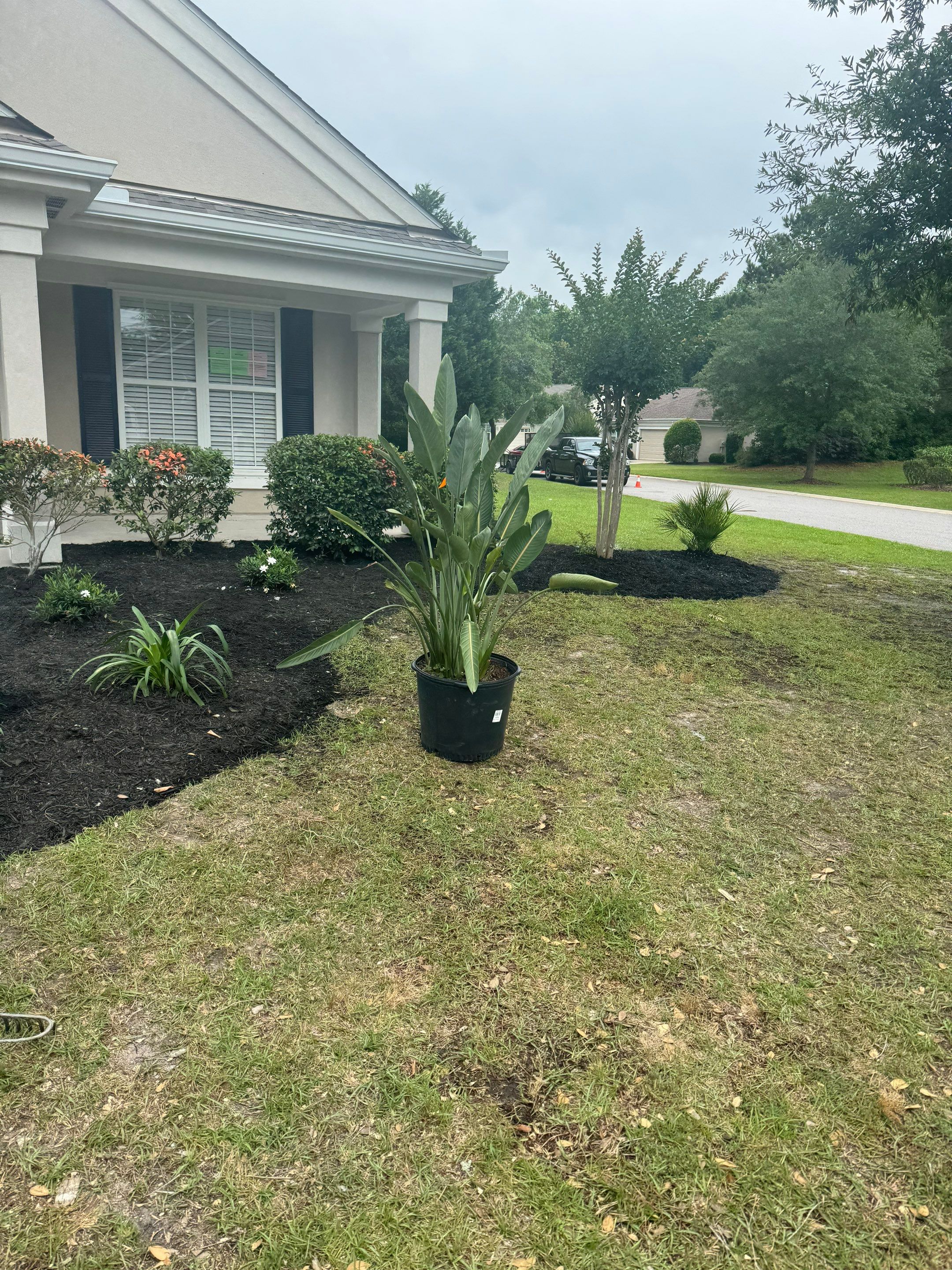 Residential Landscape Refresh and Full Mulch Installation by Lowcountry Scapes, LLC