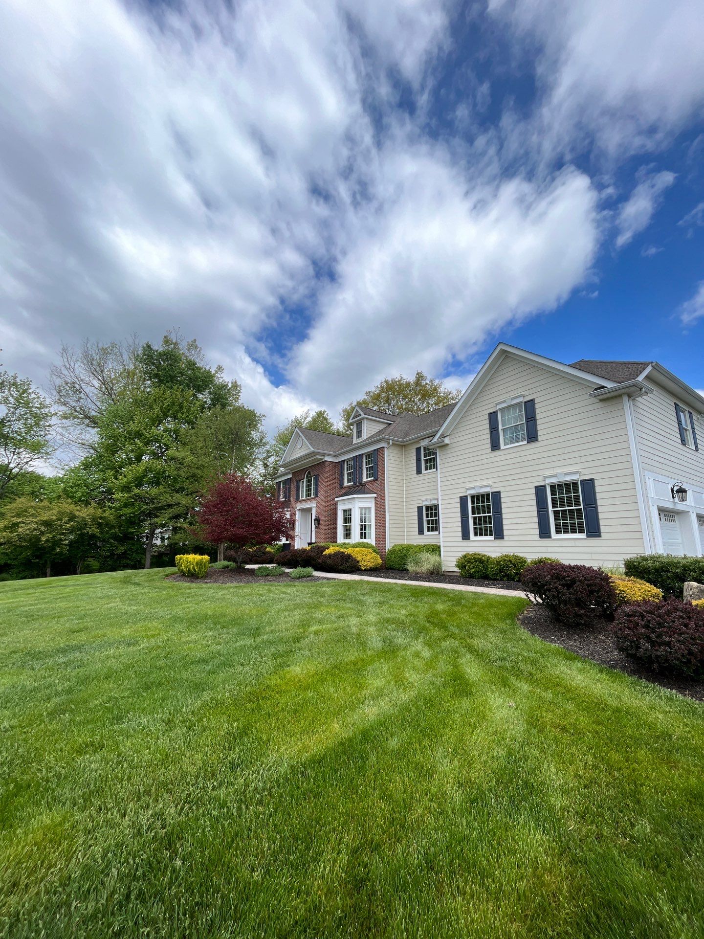 Lawn Care and Shrub Care at a beautiful Bridgewater property by Ants Plants