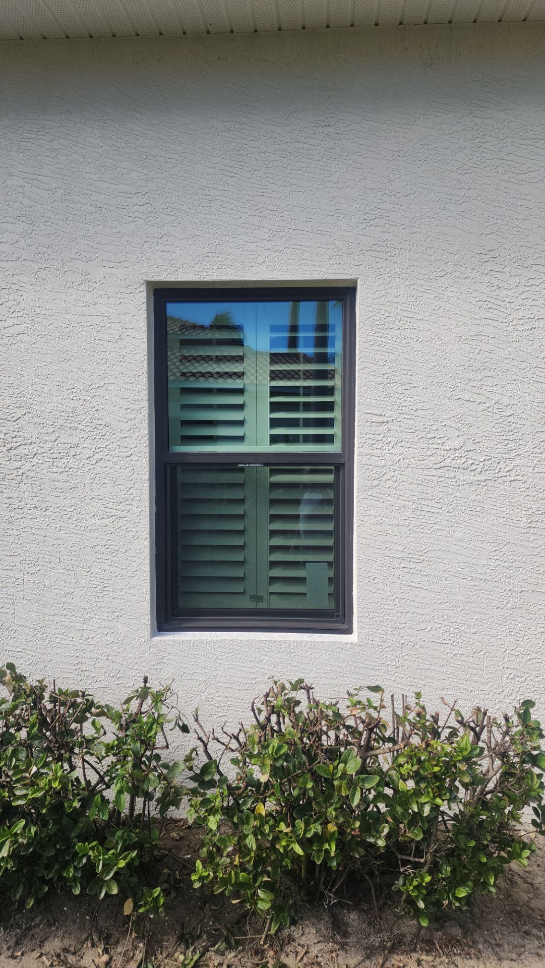 Window Installation using PGT Vinyl White-Bronze by Windows For Life 