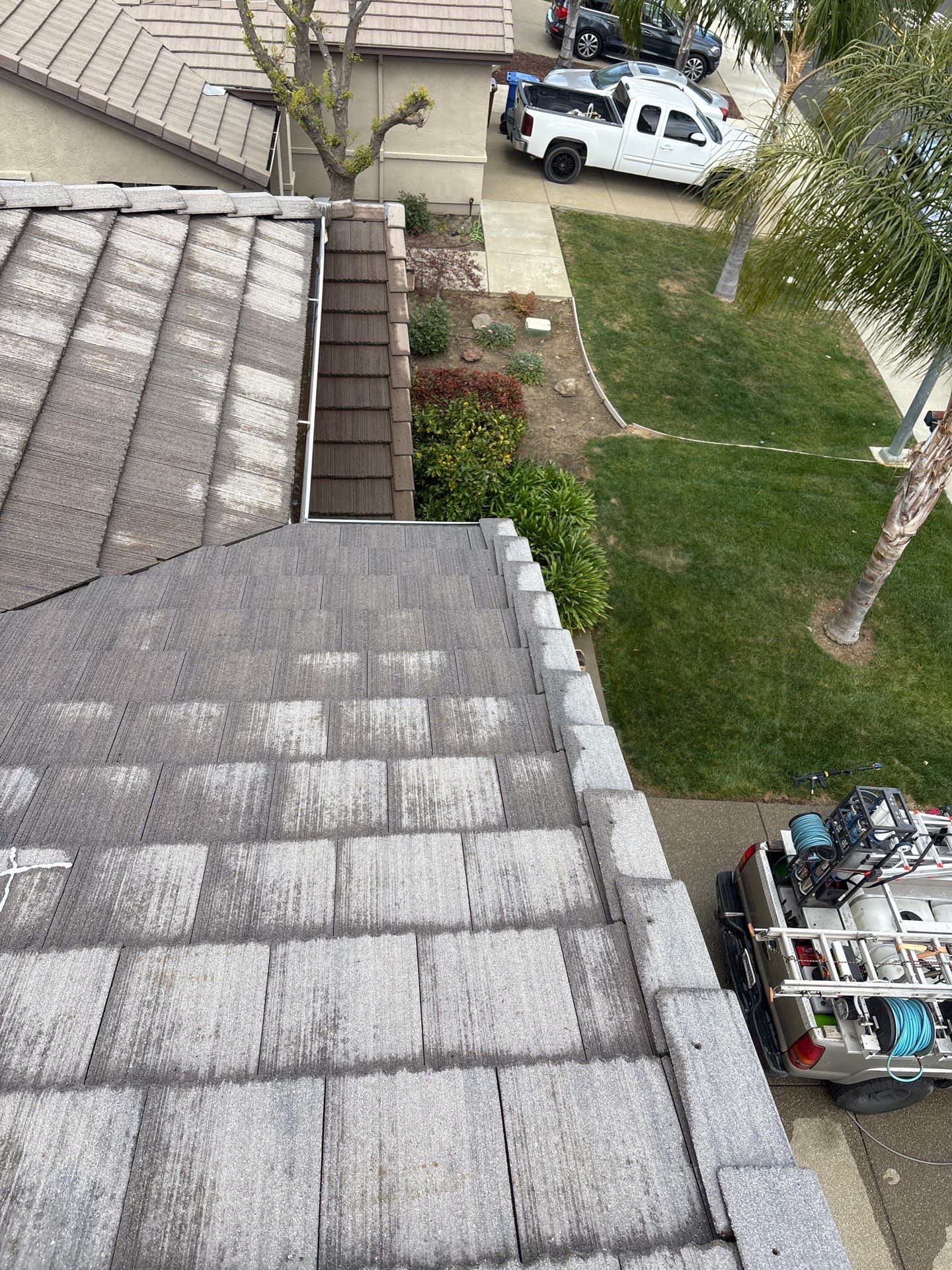 Moss Removal by Top Elevation