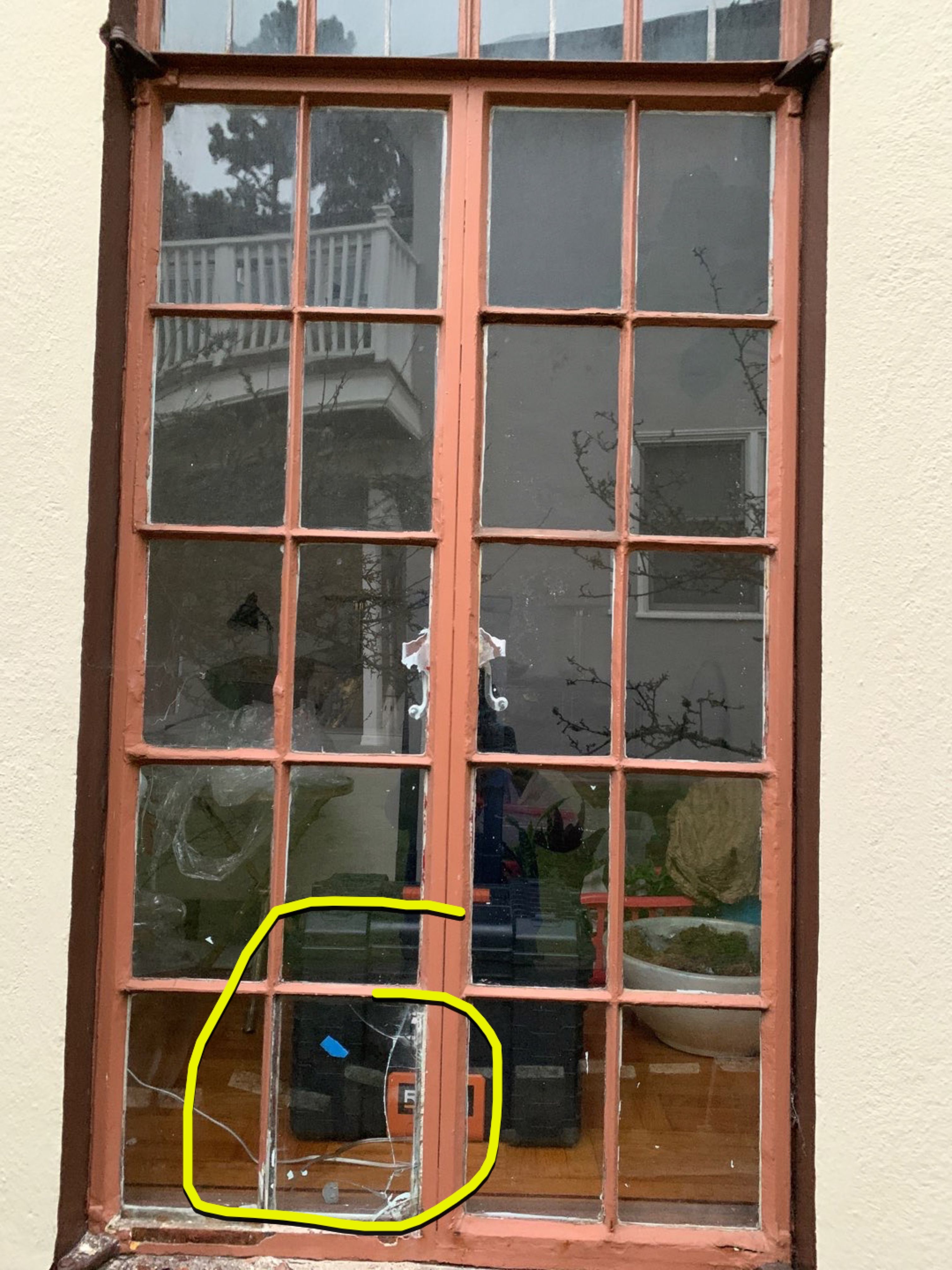 Priscilla Rodrigues by SpotFree Window Cleaning