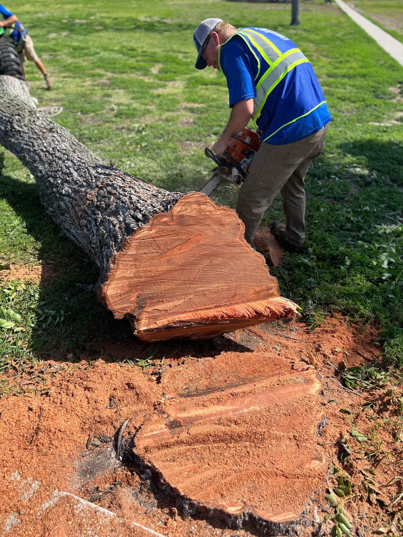 Volunteer Work | Castillo de San Marcos National Monument by ProGreen Services