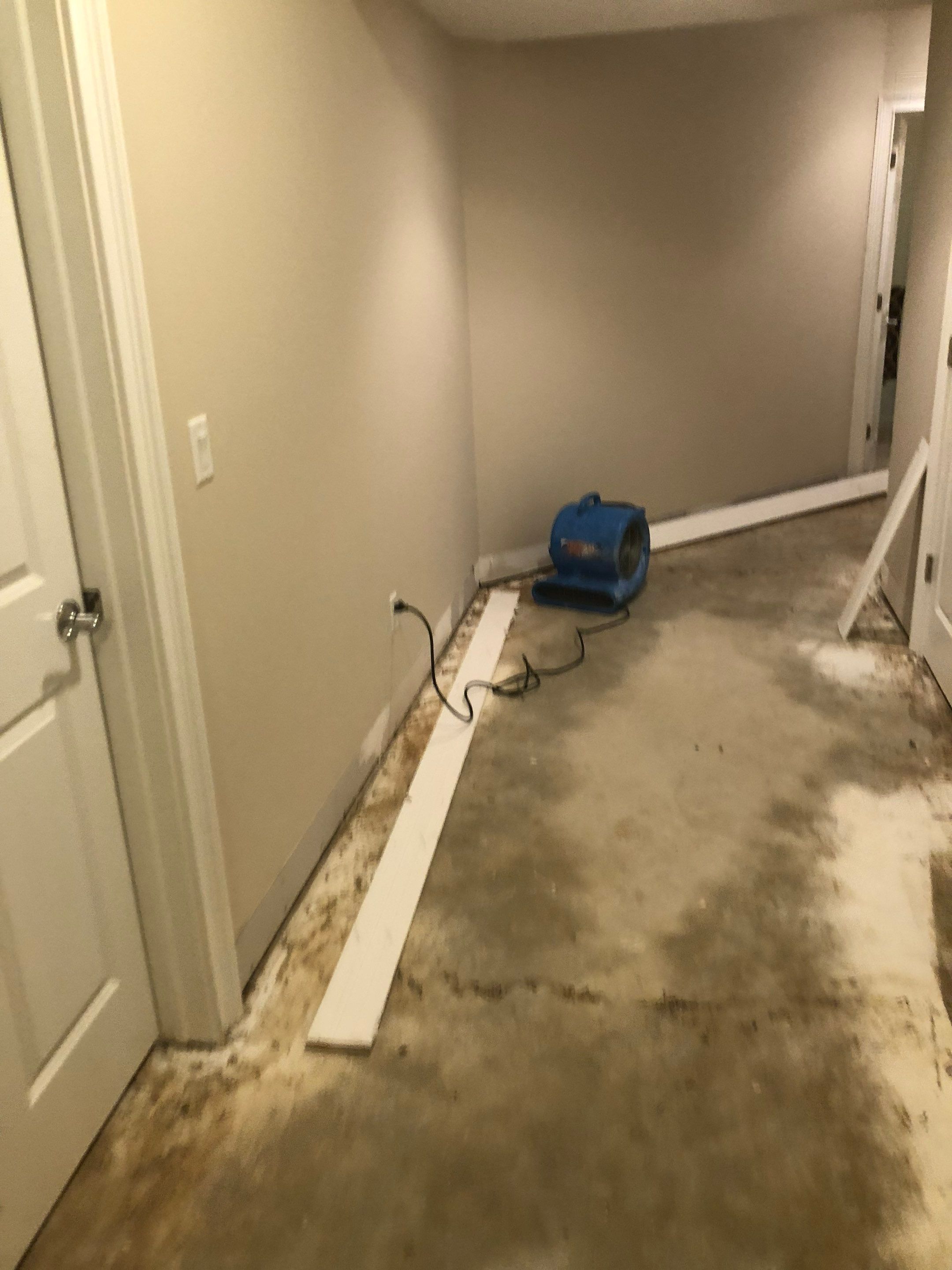 Interior French Drain Job in Summit, NJ by Pure Service Pro, LLC 