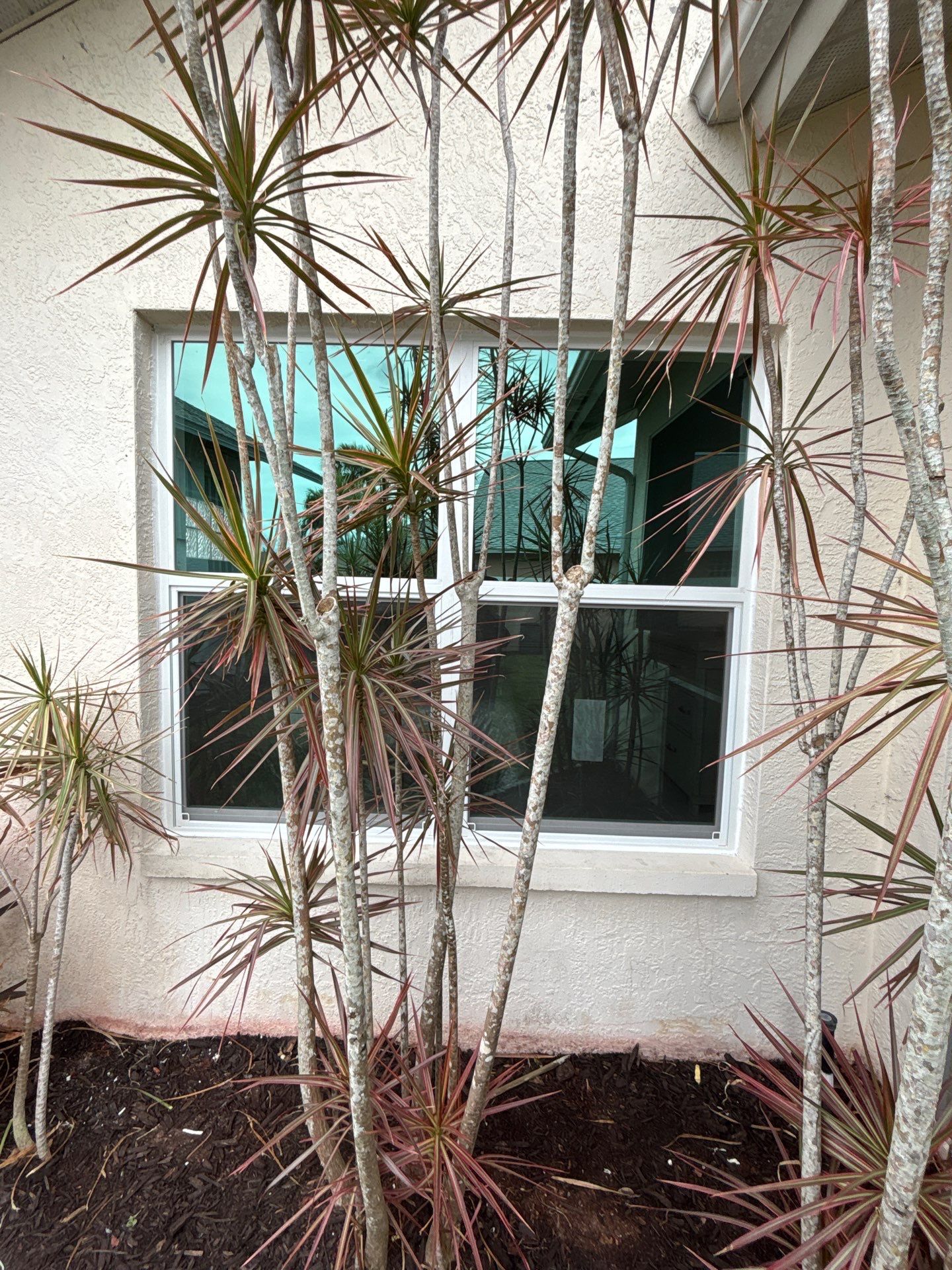 Door Installation using CGI by Windows For Life 