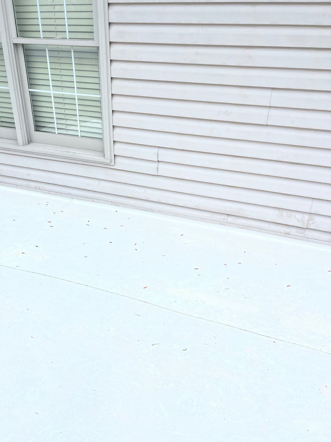 Springfield: CertainTeed Landmark Pro Designer Shingles in Max Def Moire Black by RM Banning, Inc.