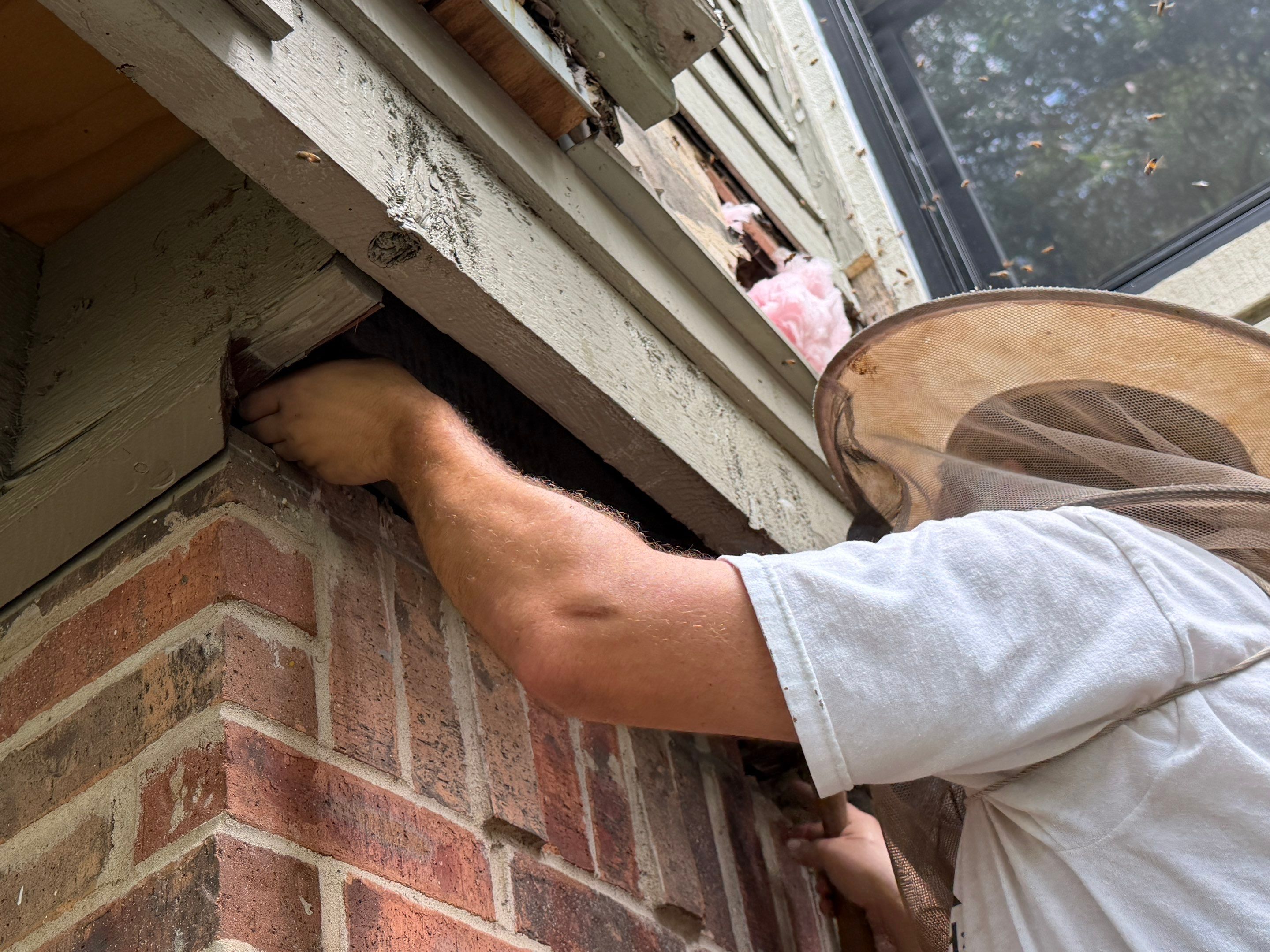 Project in Dallas, TX by Rockwall Honey Bee Company