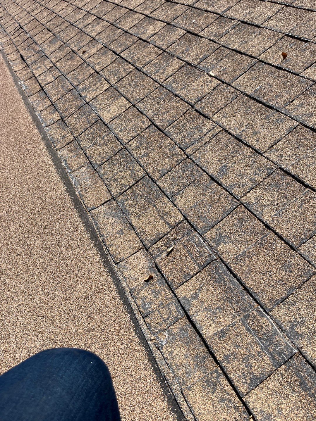 Yessenia's Full Re-roof by All Storm Roofing & Construction