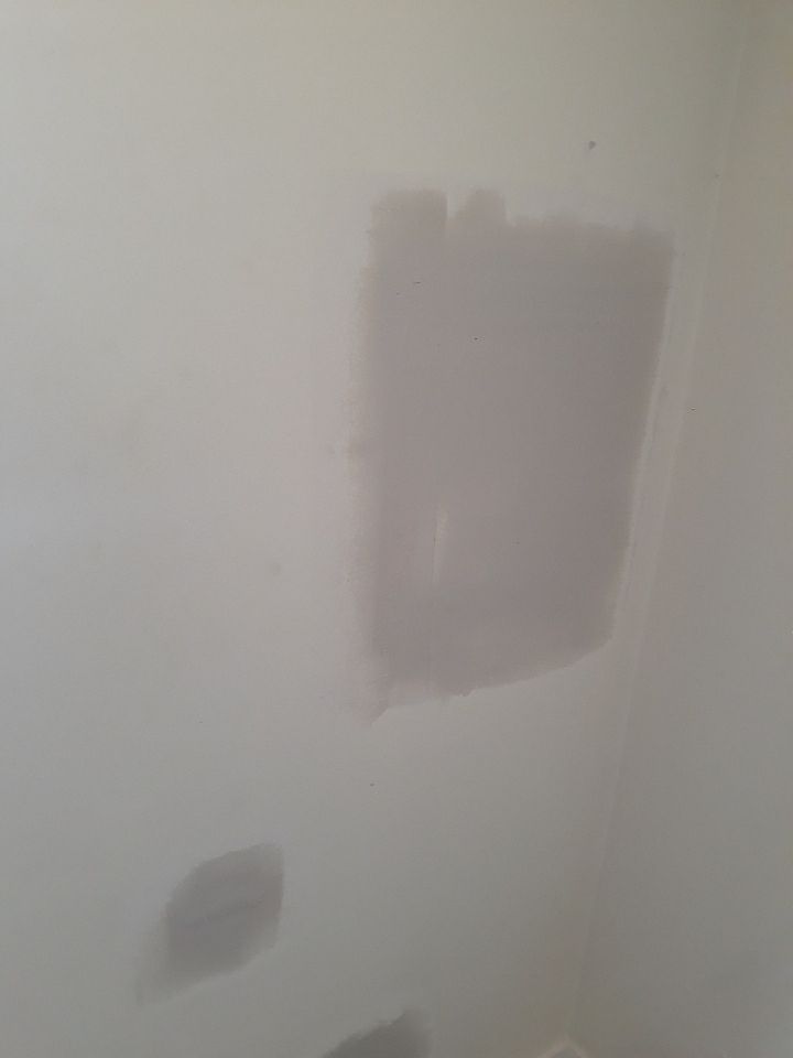 Home Renovation - Bucktown by Punch List