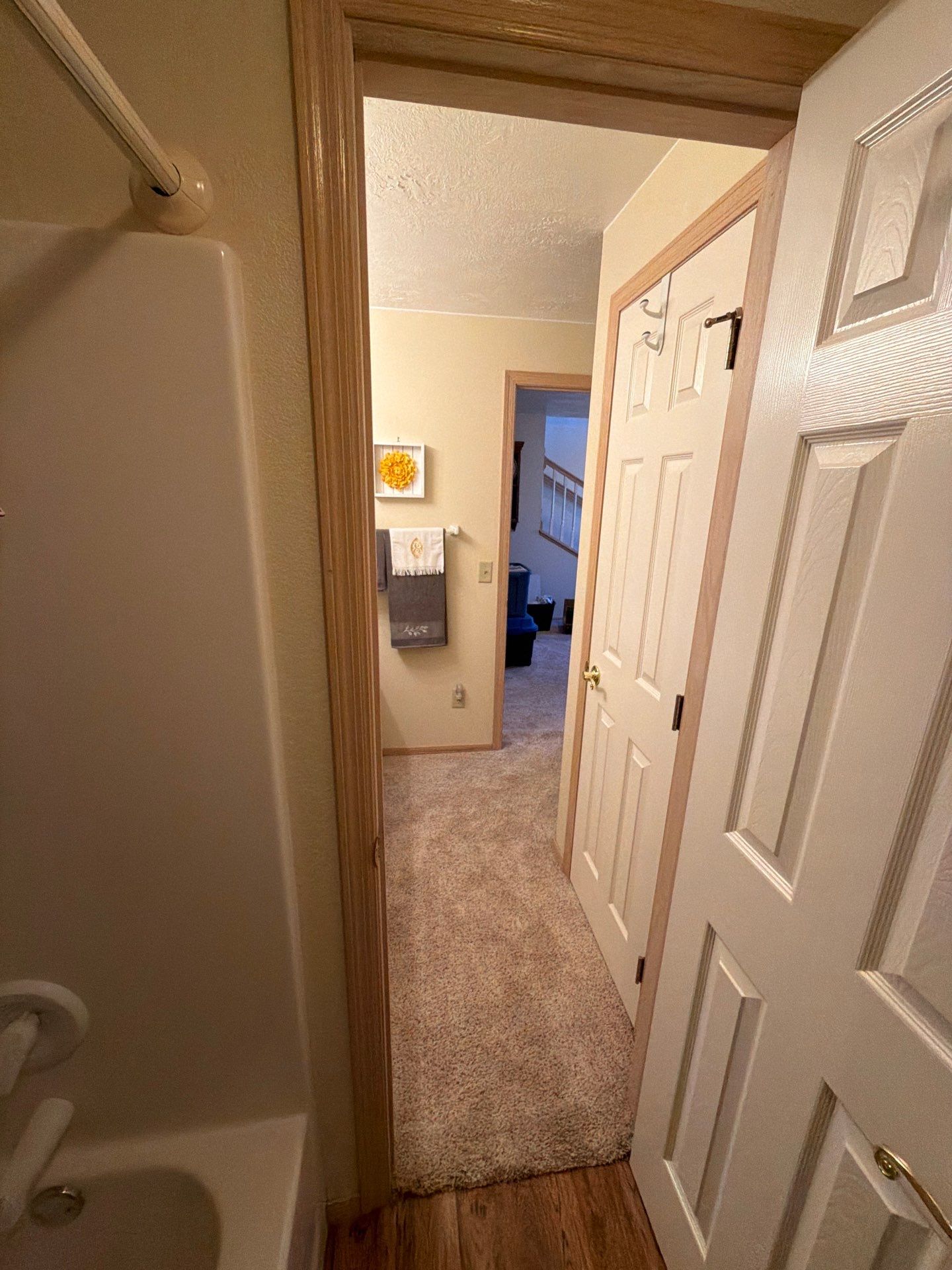 Multi-Room Interior Painting and Cabinet Refinishing in Renner by Select Painting, Coatings & Garage Cabinets