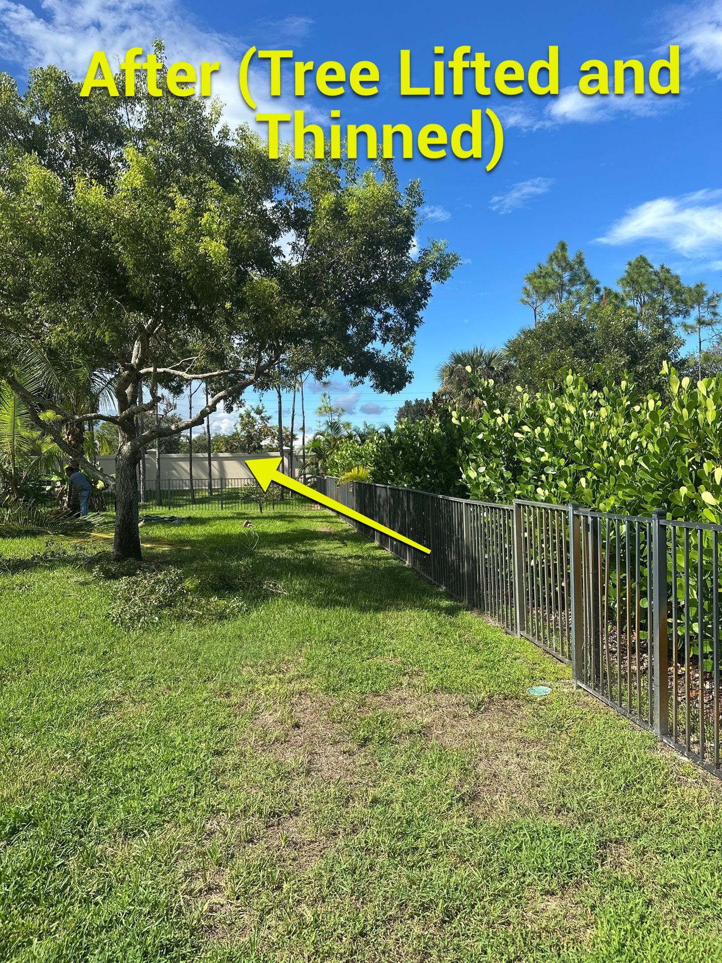 From Overgrown to Picture-Perfect - Stuart Refresh by Alpha Zeta Enterprises Inc