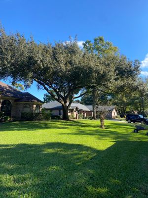 Deerwood | Tree Trimming & Sod Install | Residential
