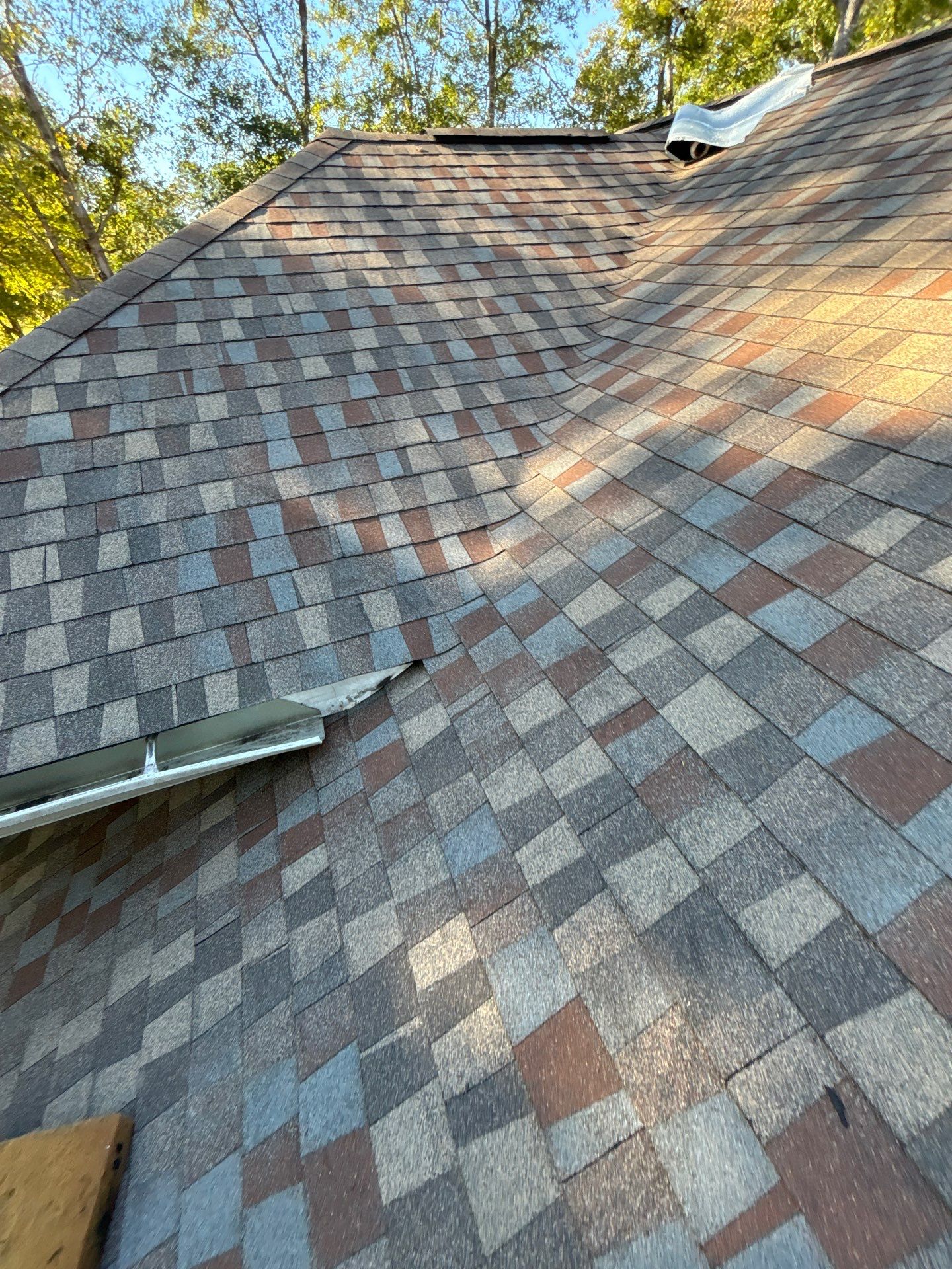 GAF HDZ - Golden Harvest by Linta Roofing