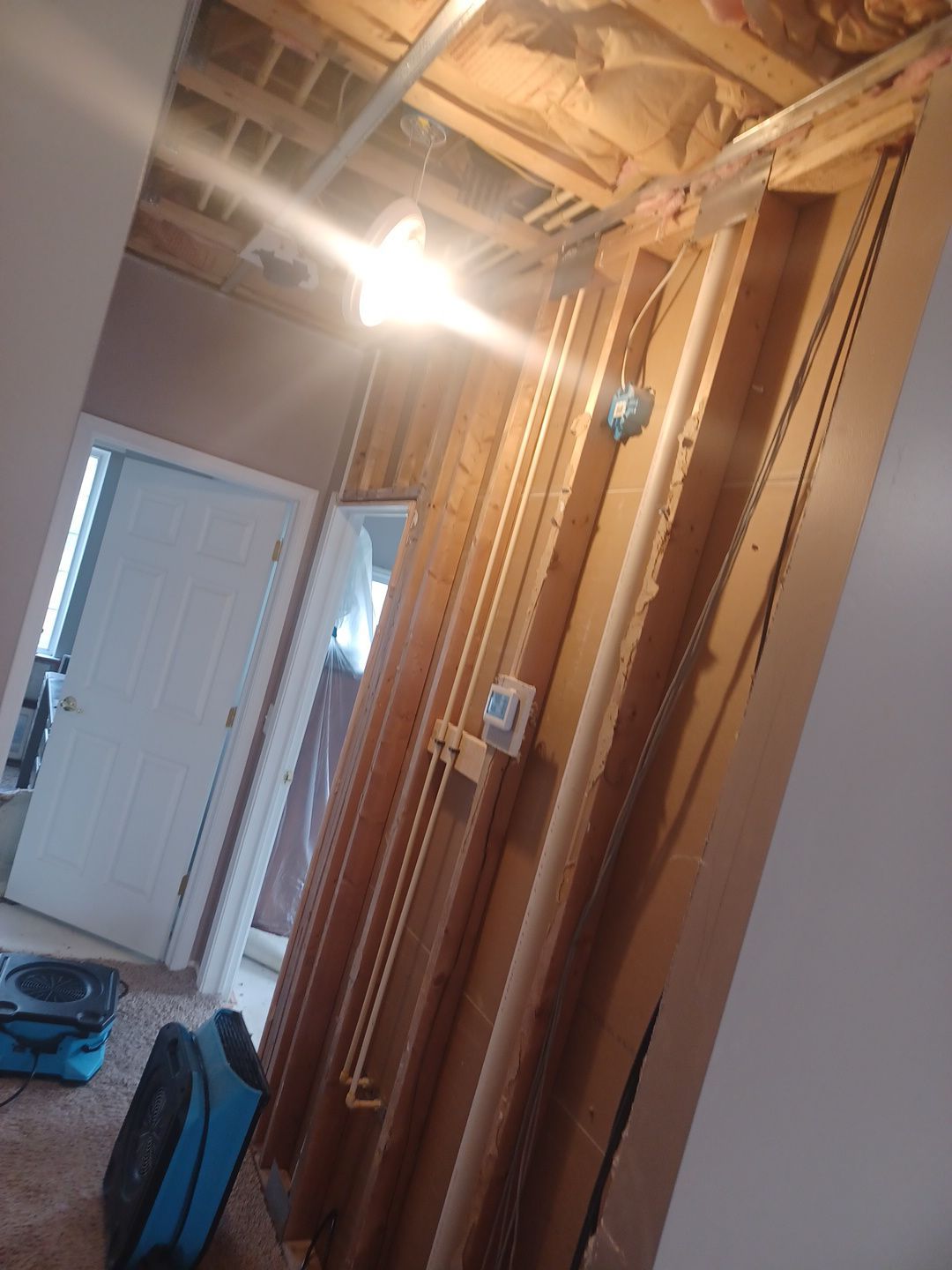 Project in Sterling Heights by EzDry Water Mitigation & Property Restoration