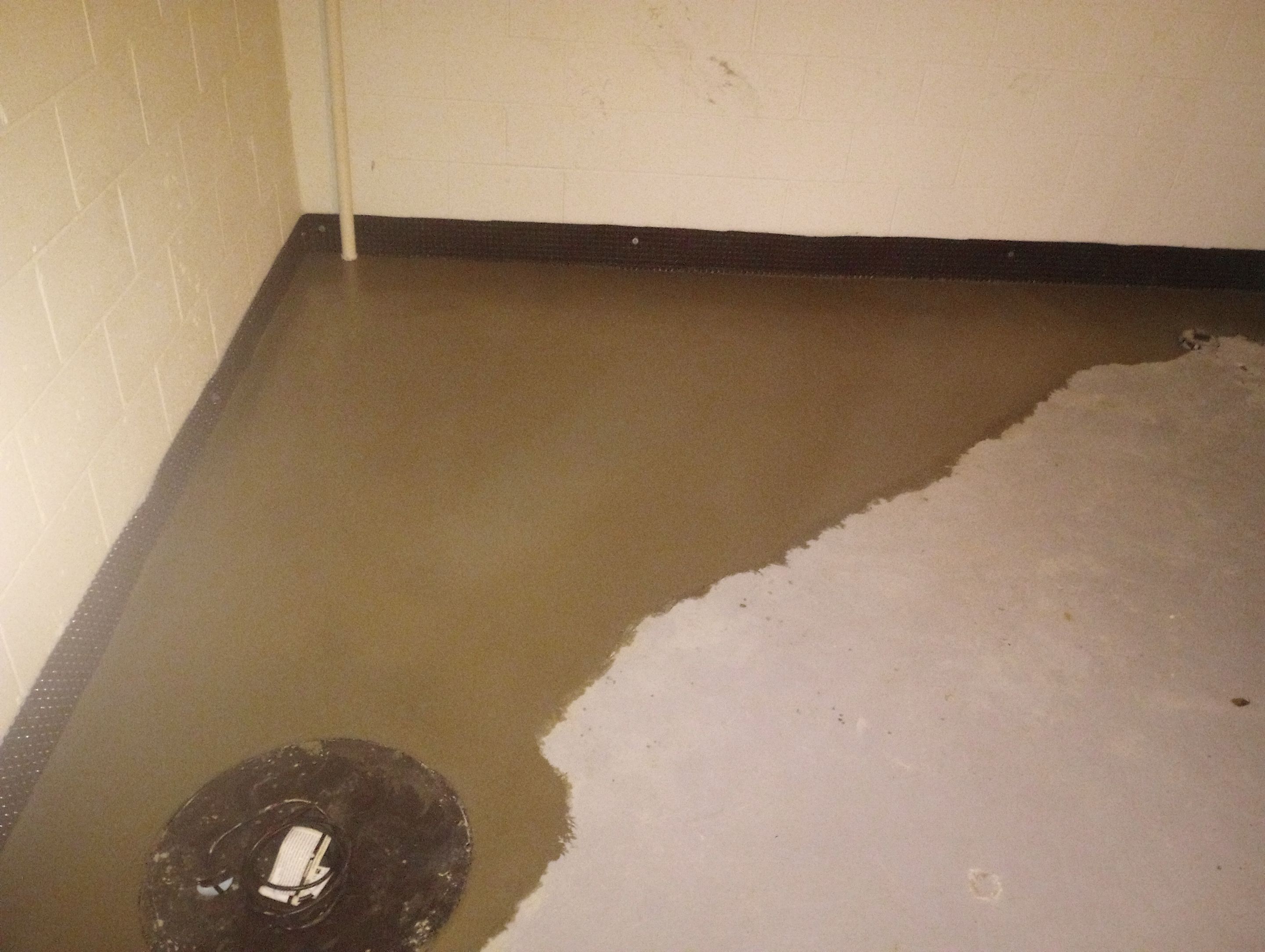 Targeted Waterproofing for Shane’s Basement by Waterproofing Northeast
