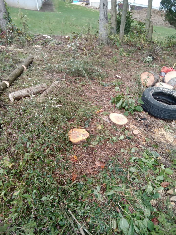 Tree Removal using Tree Removal by Mike Jones & Sons Tree Service LLC 