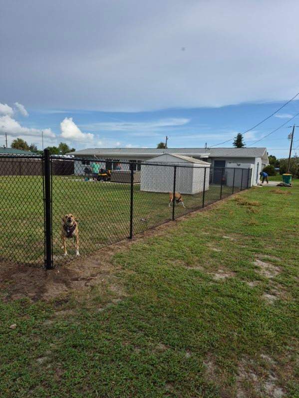 Black Chain Link Fence Installation for Residential Backyard in Port Charlotte by True Fence LLC