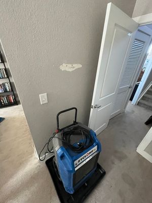 Mold Remediation in Denver, CO