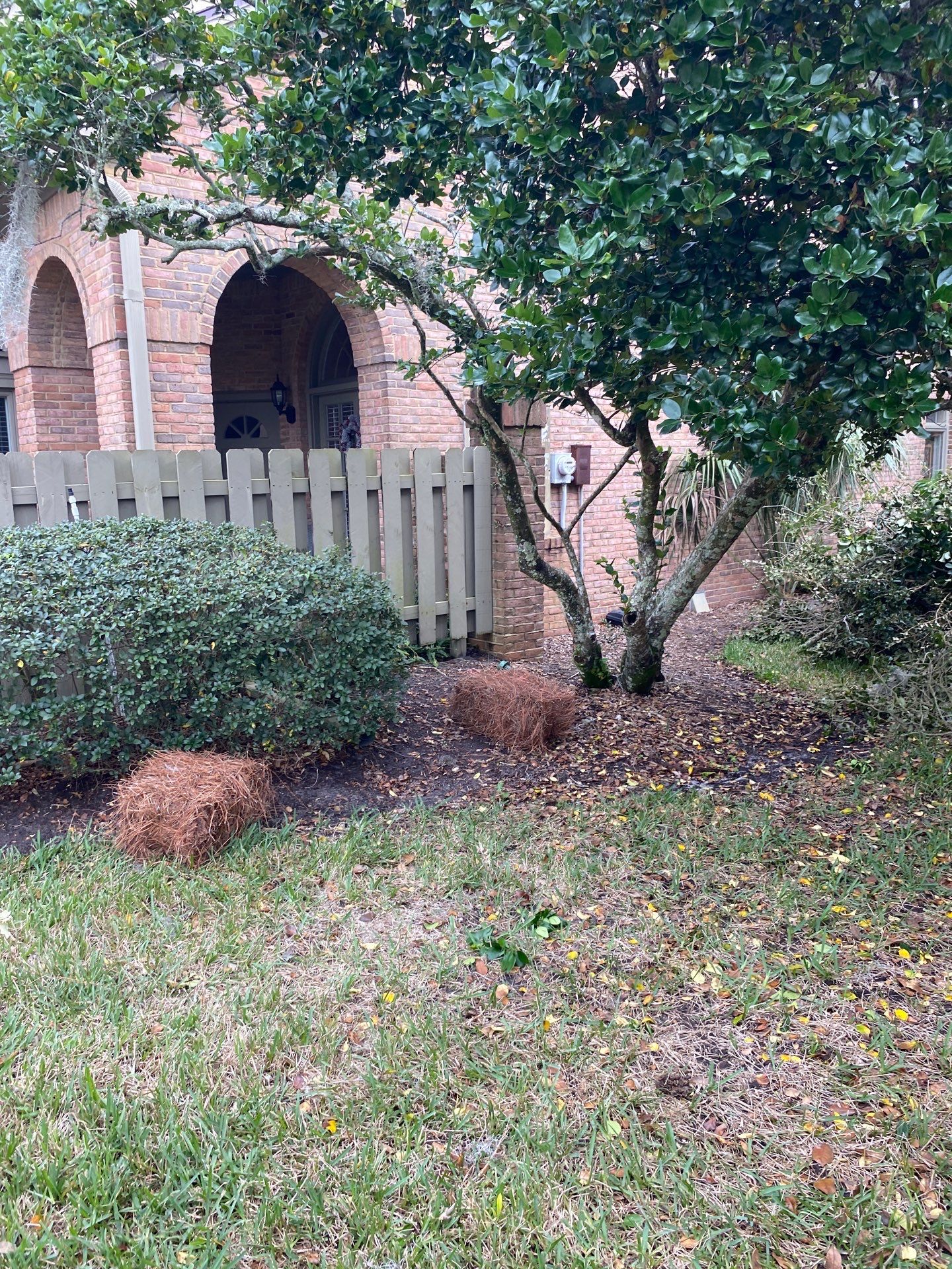 Deerwood Pointe | Tree Removal & Pine Straw Installation by ProGreen Services