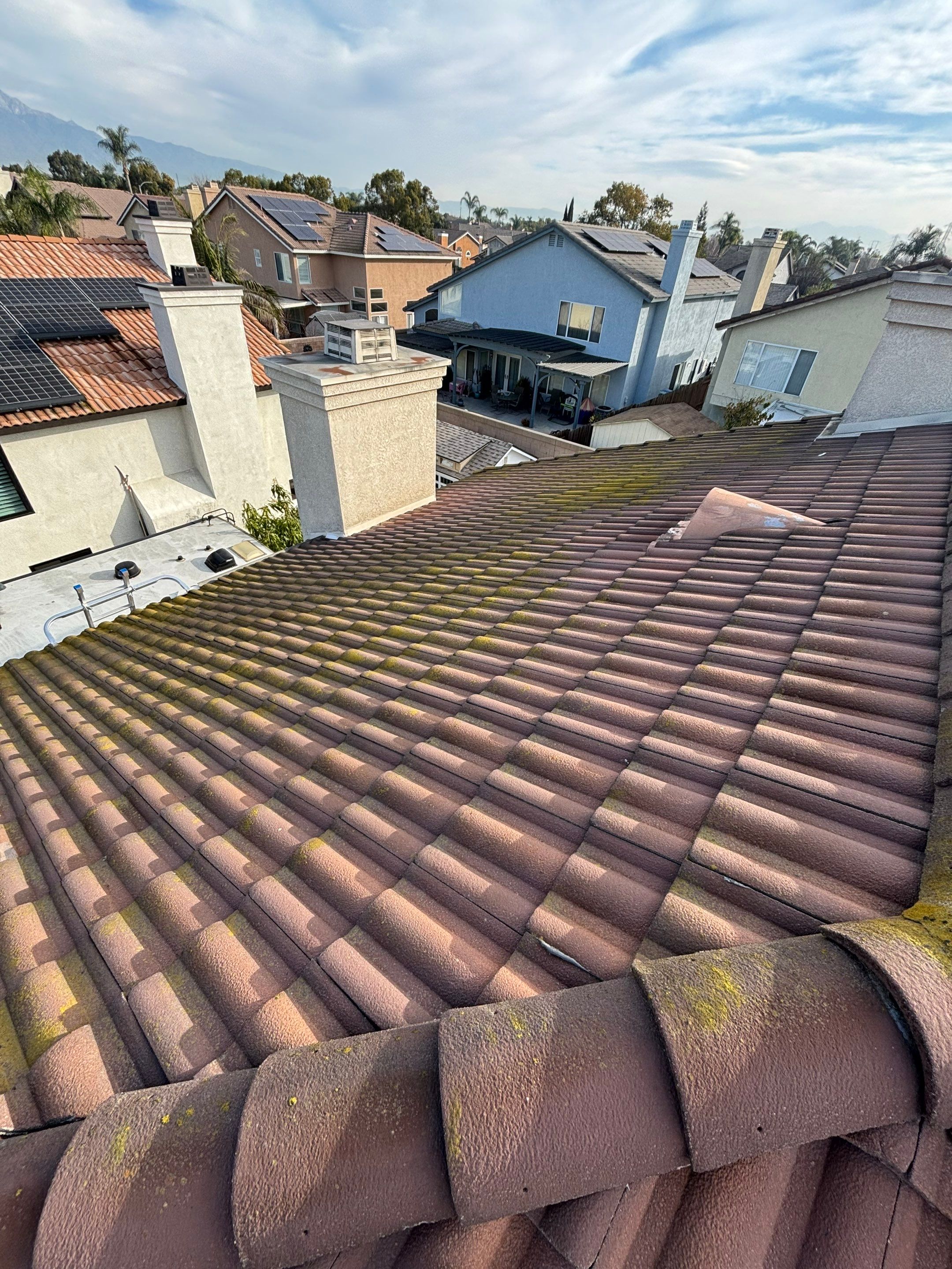 Roof Cleaning LIBERTY MUTUAL by Pirate Pete’s Power Washing