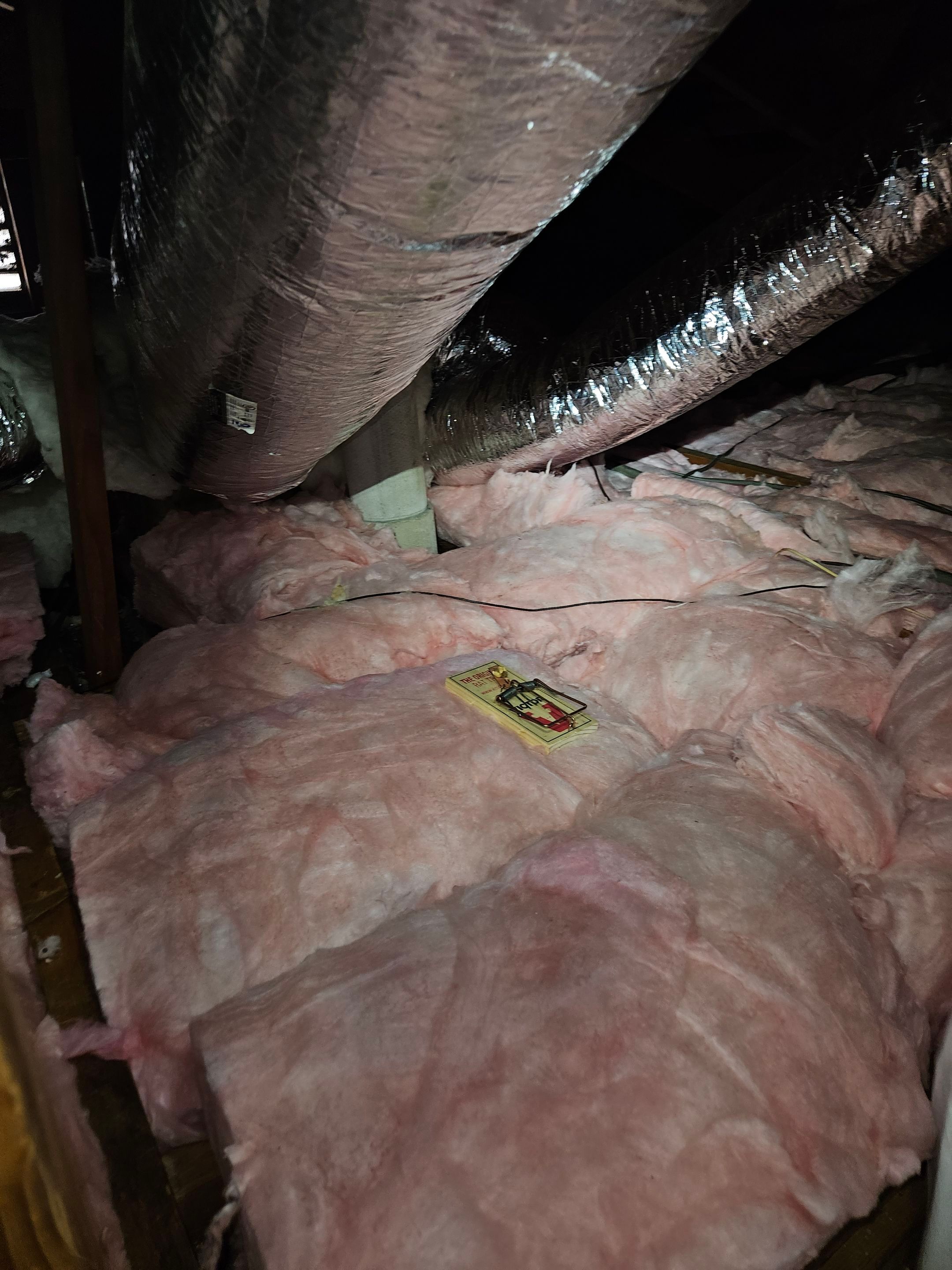 Project in Altadena by Insulation Labs