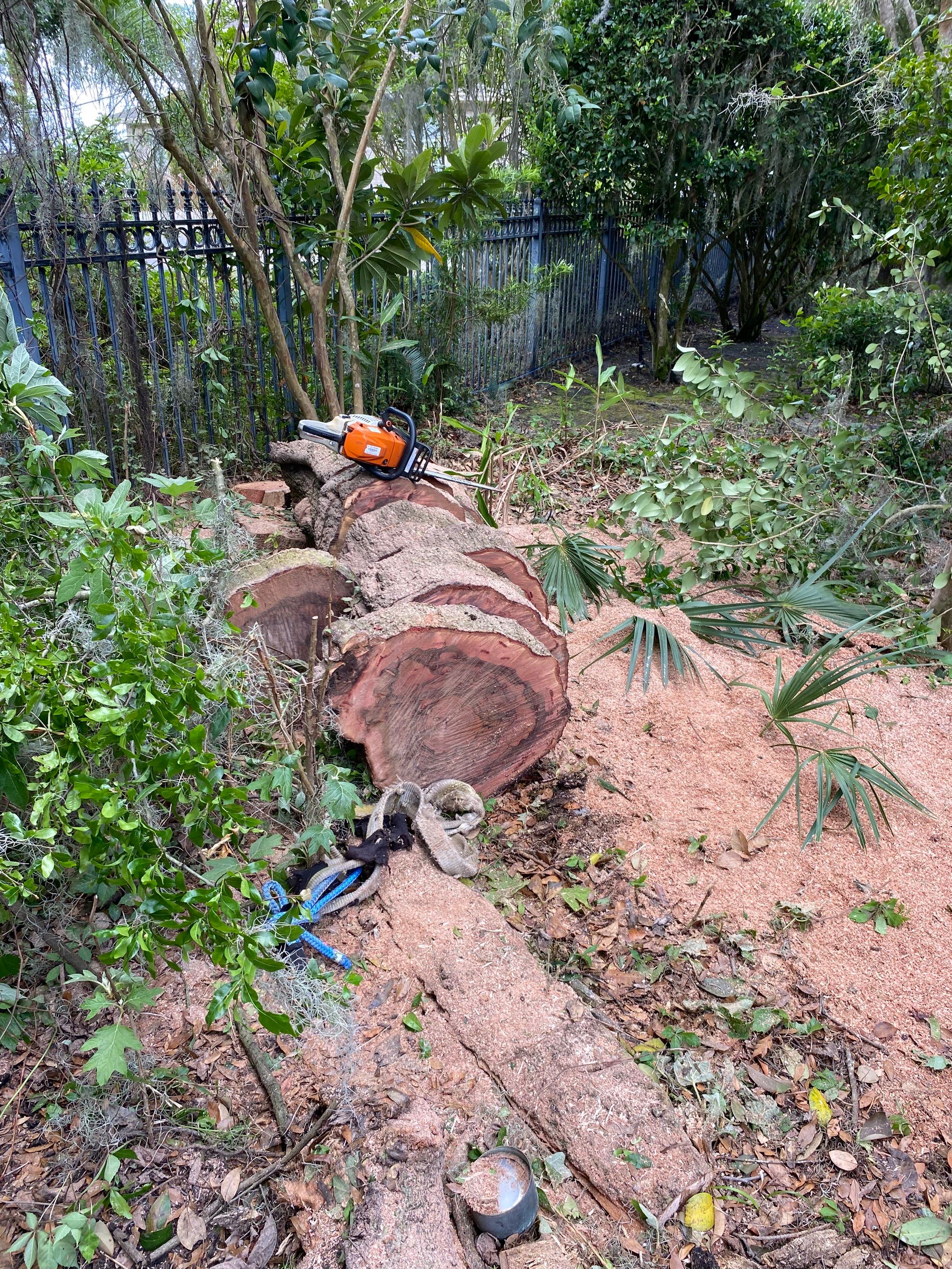 Residential | Tree Removal by ProGreen Services