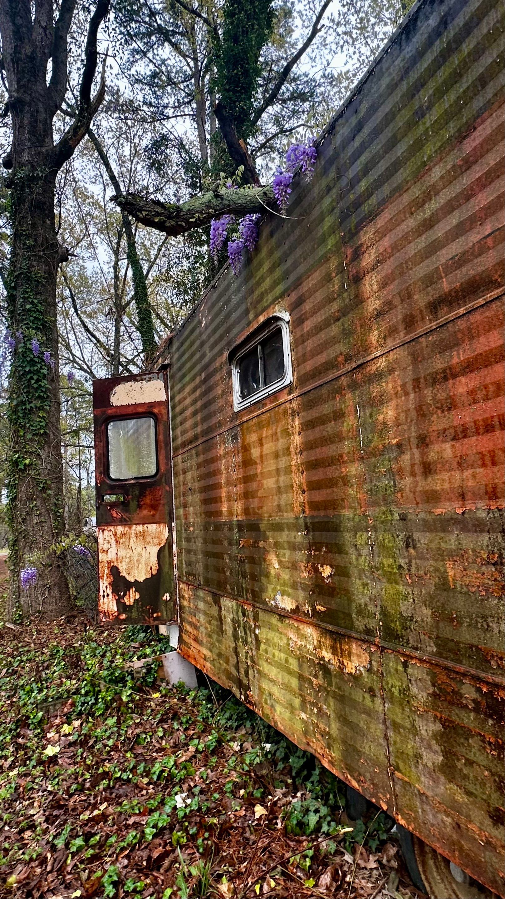 BeeGirl ETX HQ by Rockwall Honey Bee Company