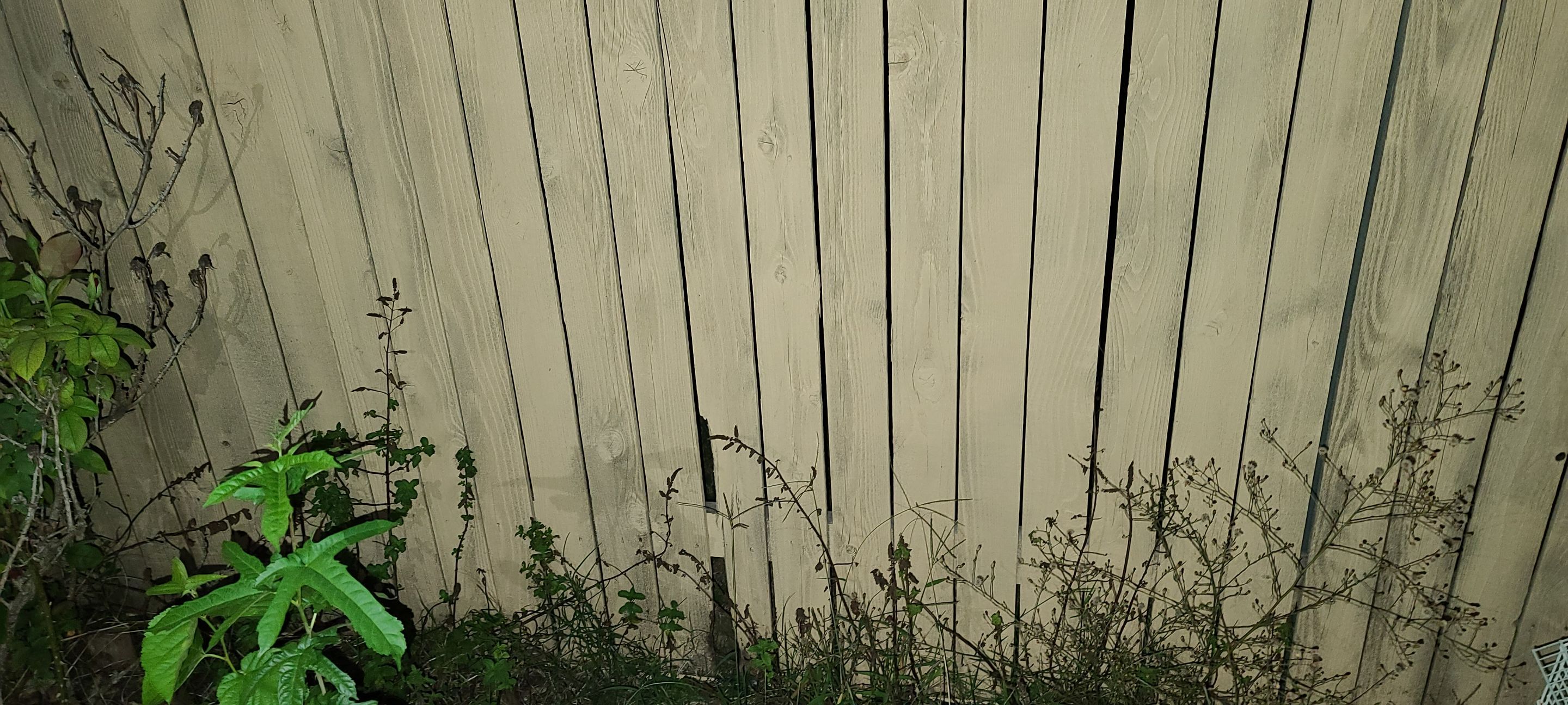 Hail Damage Restoration for Austin Two-Story Residential Home by Caliber Restoration LLC