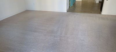 Carpet Cleaning of a Rental Property