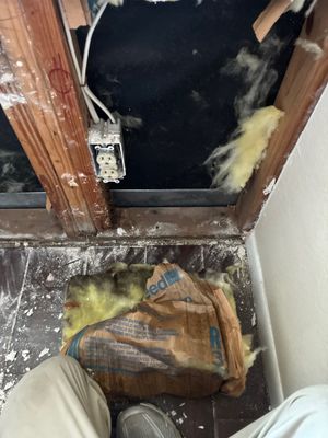 Mold Remediation — Bonita Springs, FL