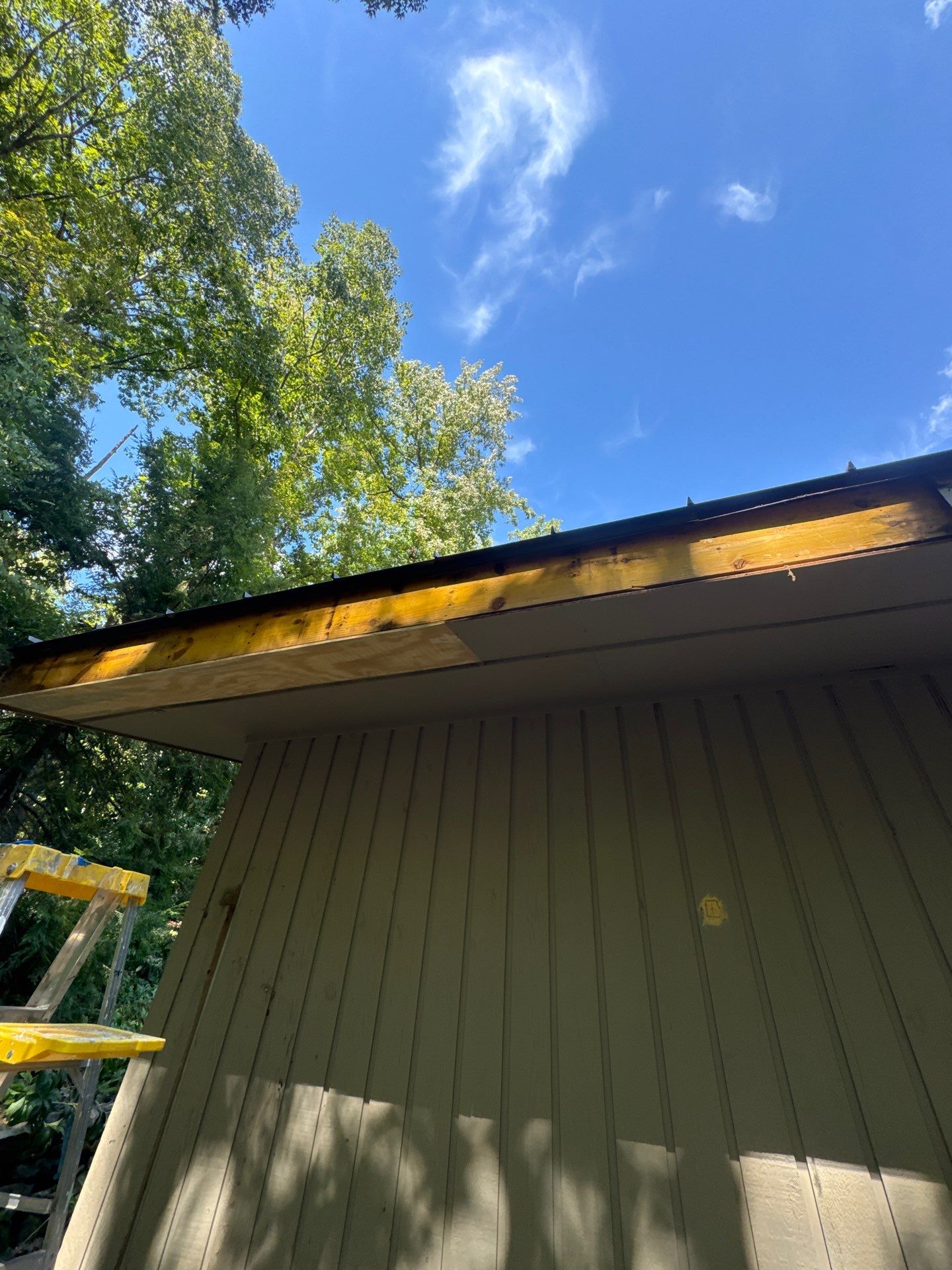Complete exterior refresh with carpentry repairs by GonzalezPainters & Contractors Inc