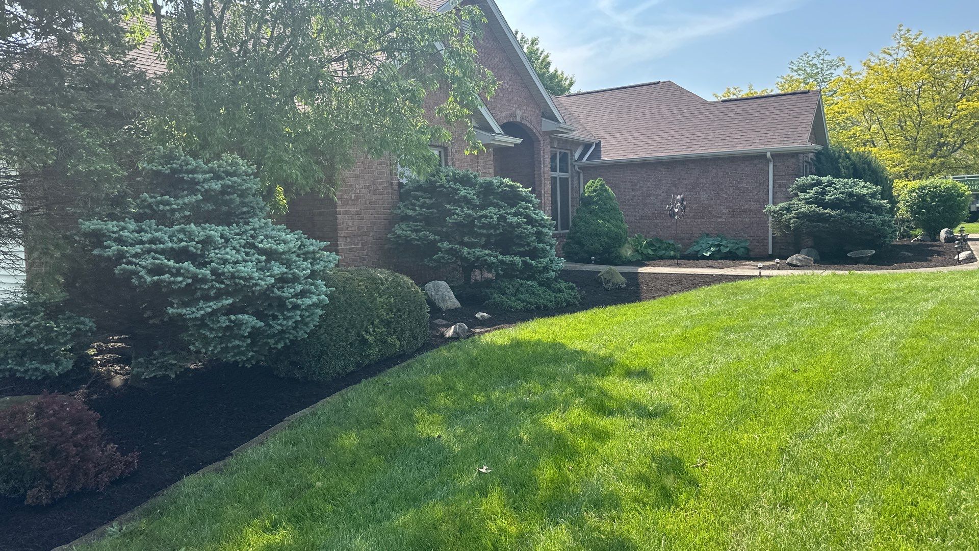 Overgrowth Takeover by Carrs lawn and landscape