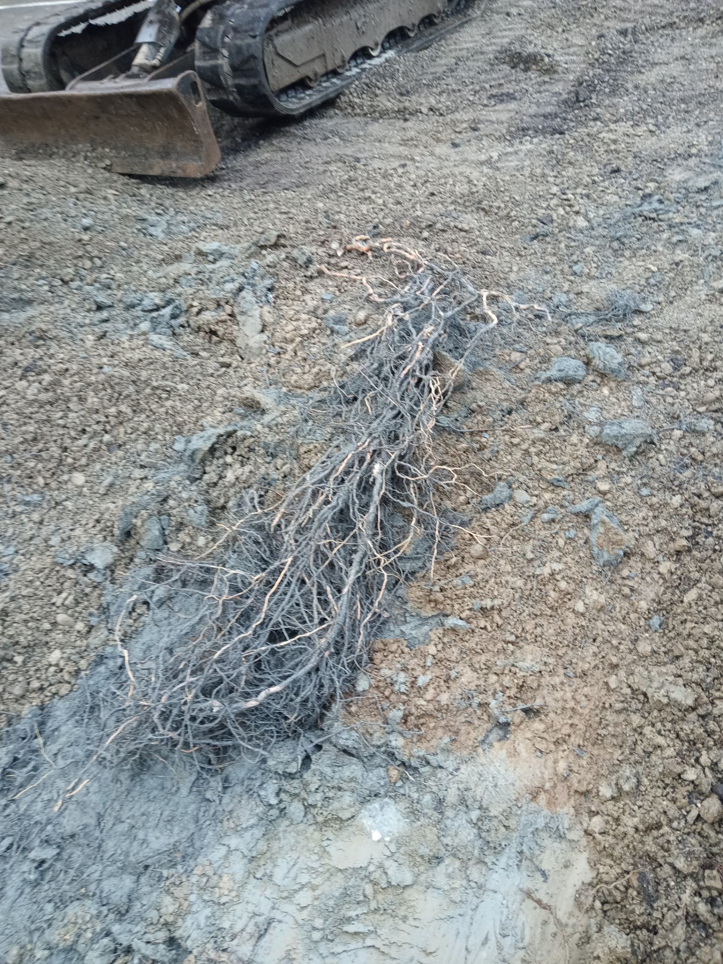 Tyler | Patch & Spot Repair and Curbing, Concrete & Asphalt Project by Jireh Asphalt & Concrete Inc 